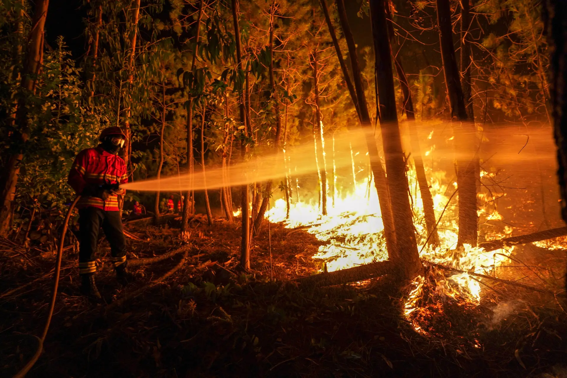 Mais de 70 concelhos em perigo máximo de incêndio