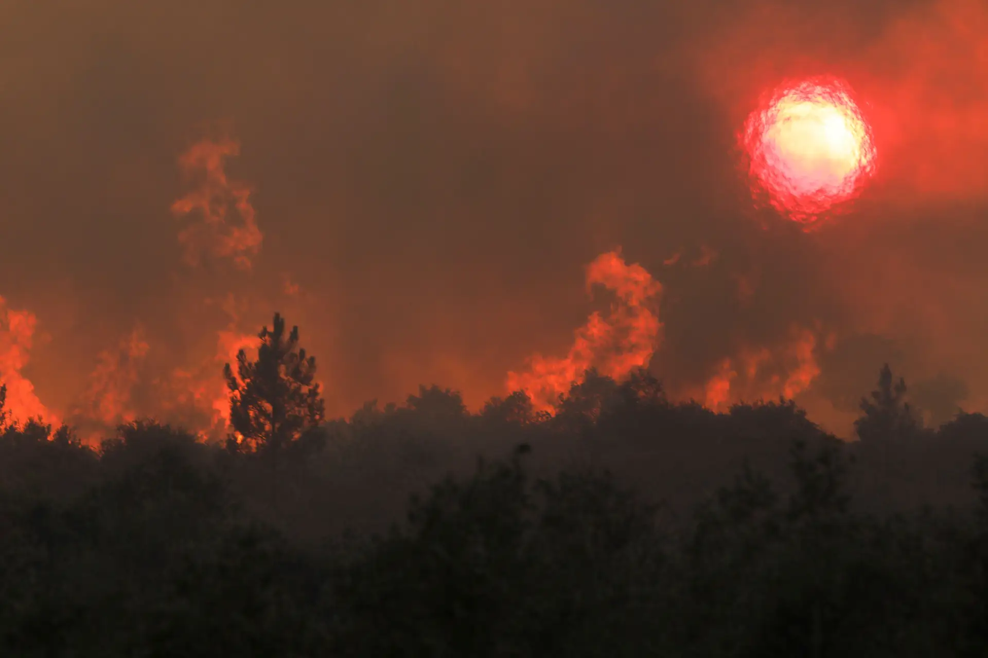 Incêndio em Carrazeda de Ansiães já está dominado