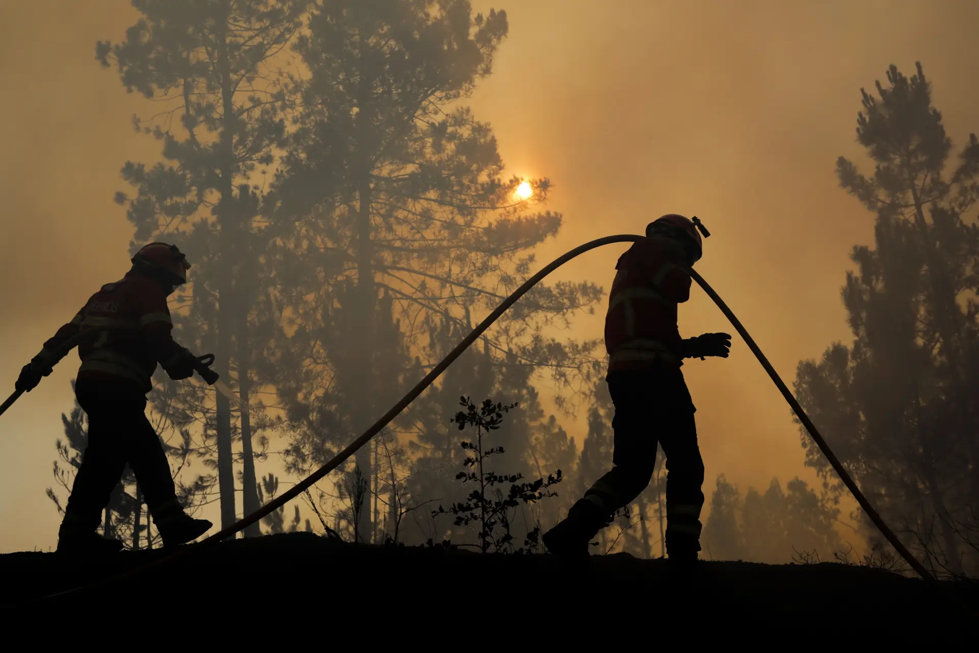 Portugal registou 79 incêndios esta segunda-feira, menos 22 do que no dia anterior