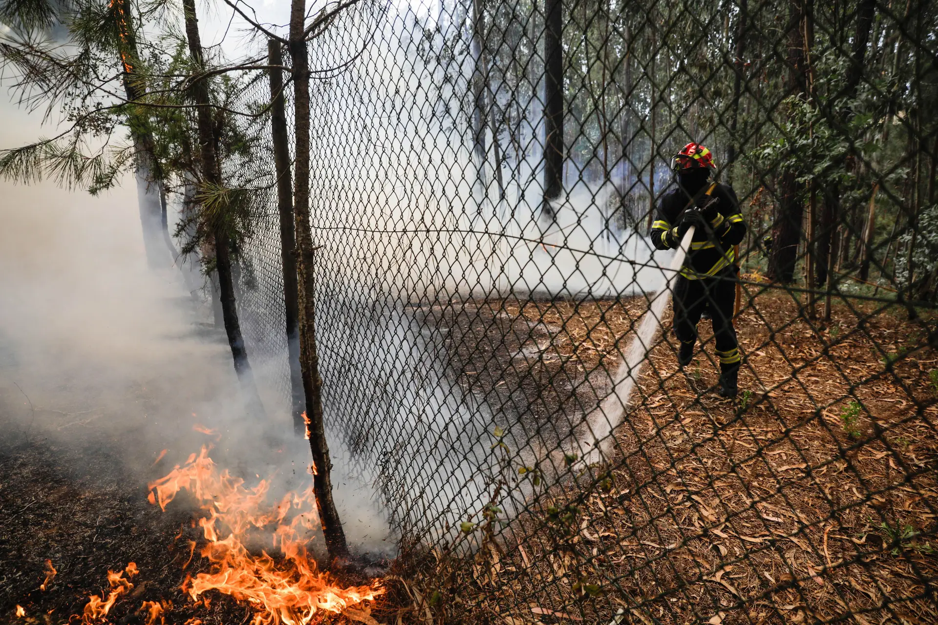 Federação dos Bombeiros do Porto alerta que plano para fogos "carece de apoios"