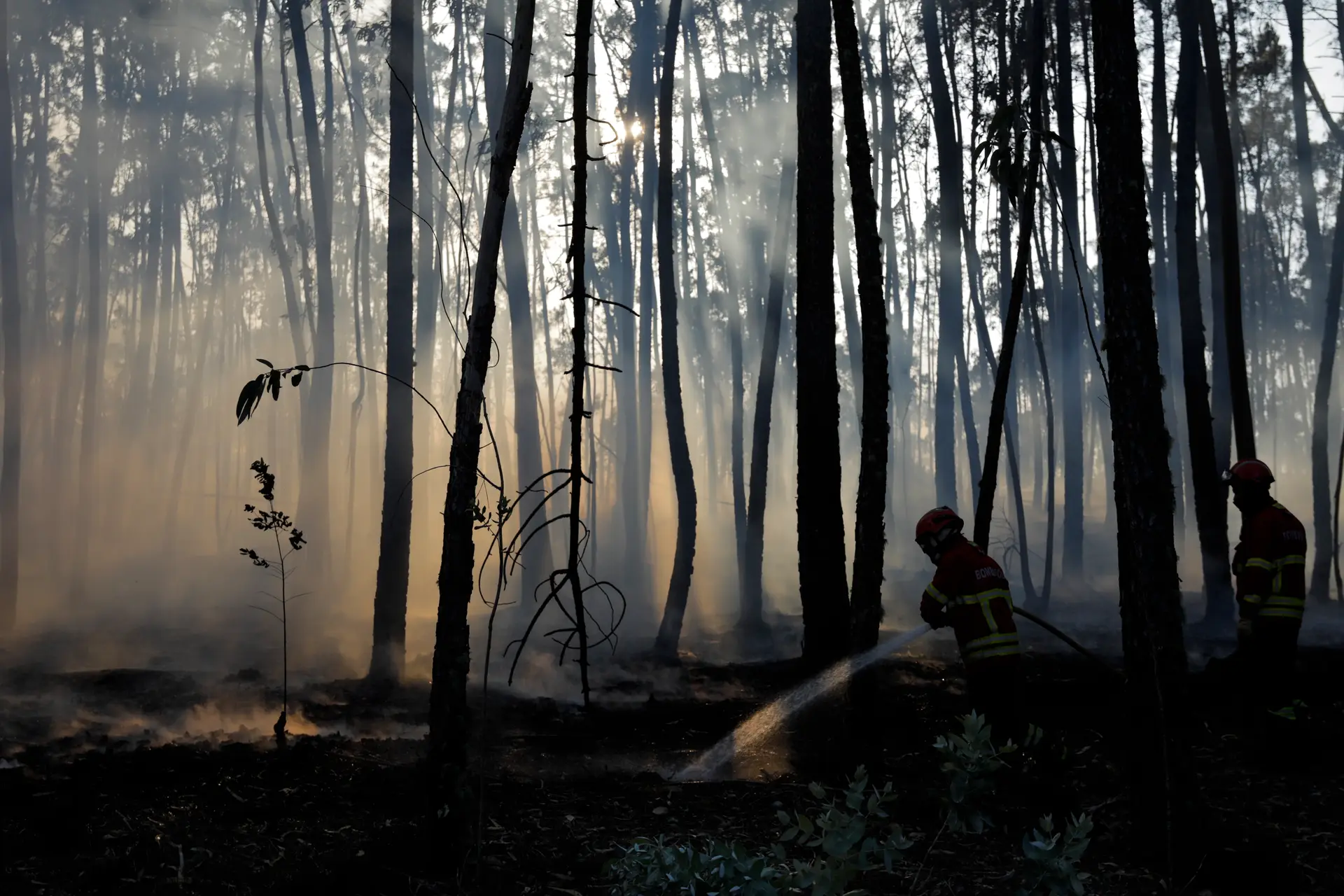 "Sentimo-nos abandonados": Câmara de Alvaiázere pede ajuda