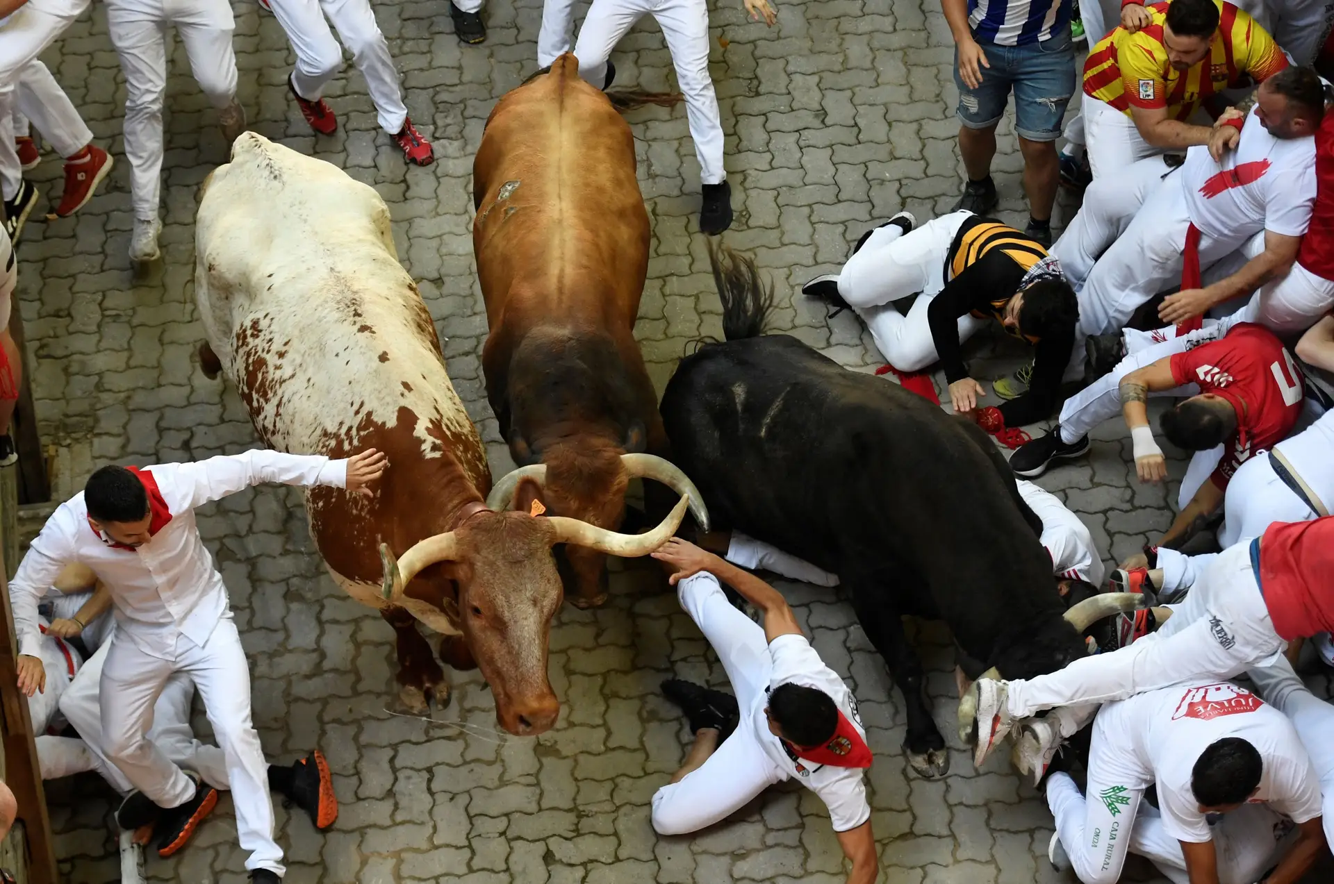 Celebrações e protestos: corrida de touros em Espanha não é consensual -  SIC Notícias