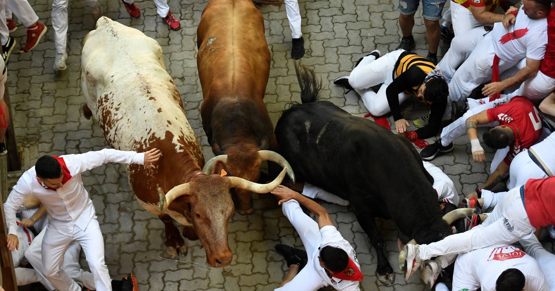 Cinco feridos no regresso da largada de touros em Pamplona