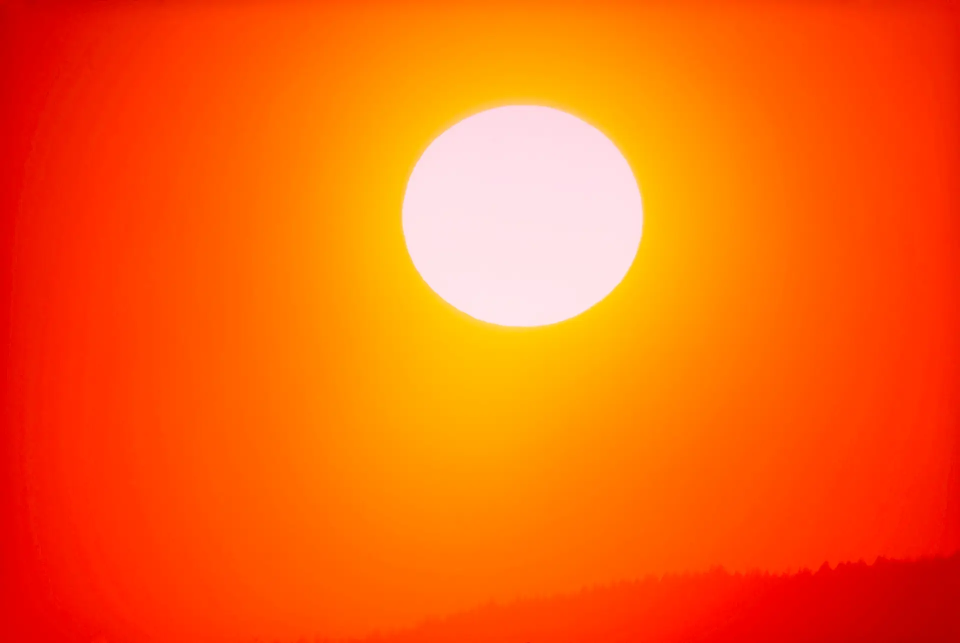 Maioria dos distritos sob aviso vermelho devido a calor e risco máximo de incêndios
