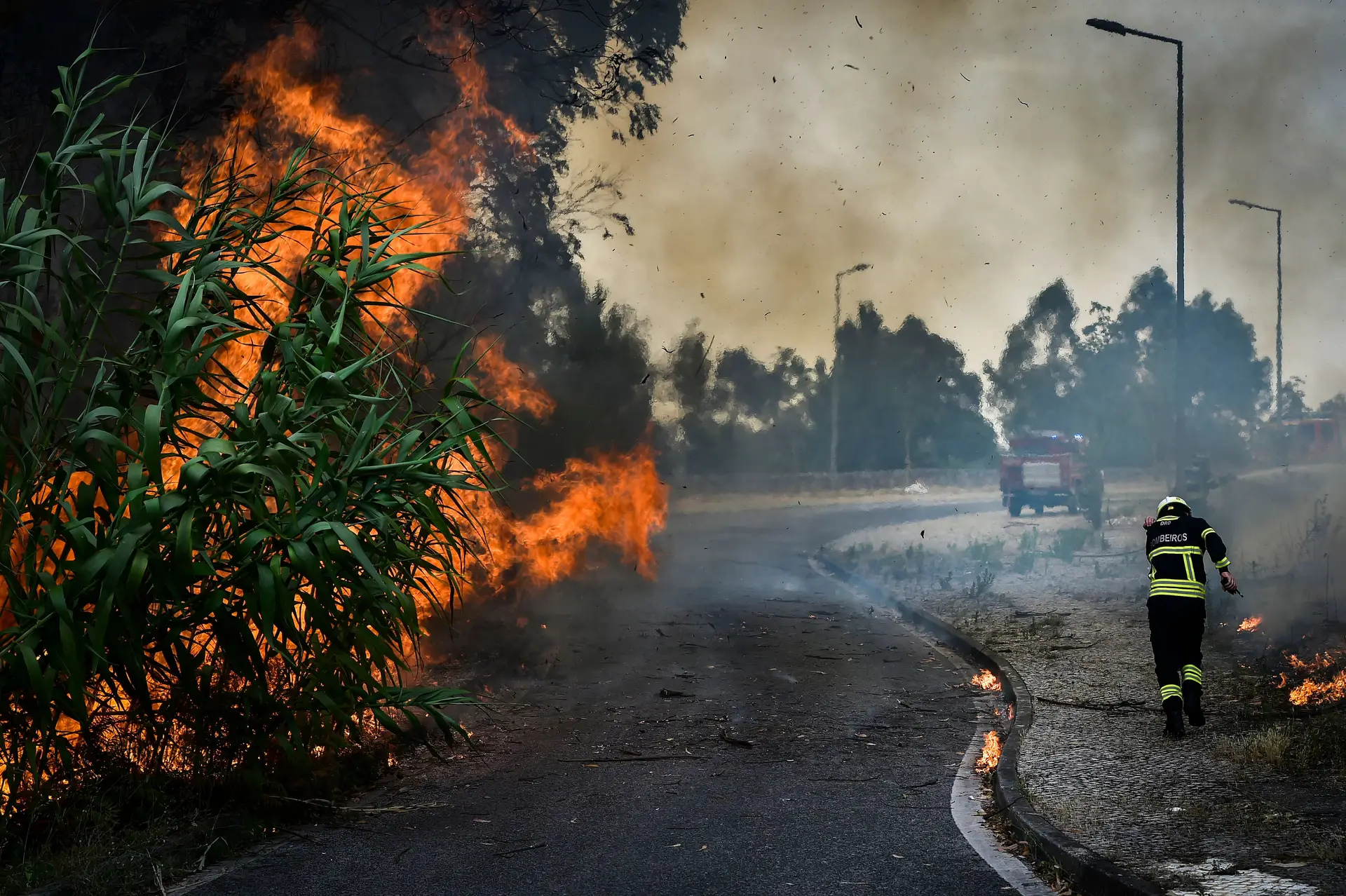 PJ detém alegado pirómano suspeito de atear dois fogos na Maia