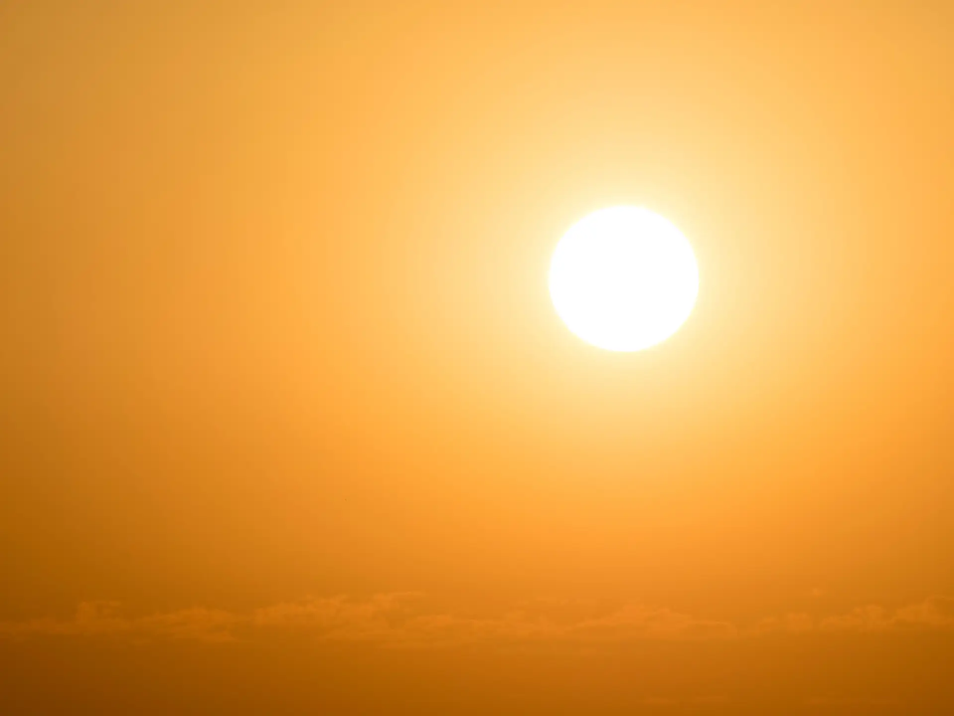 "Excesso de mortalidade": onda de calor provoca 238 mortes numa semana