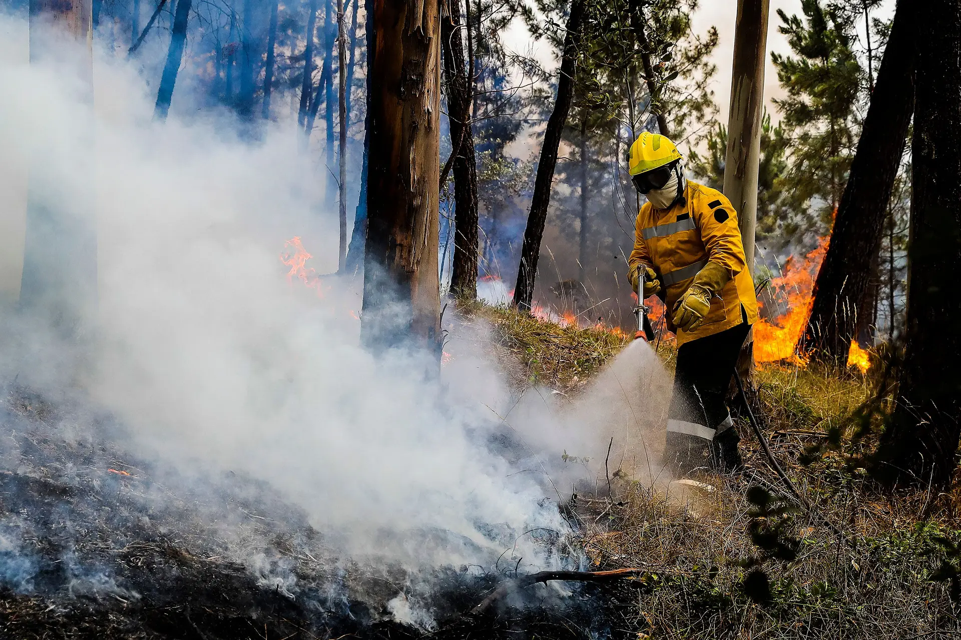 Três concelhos do distrito de Faro em perigo muito elevado de incêndio