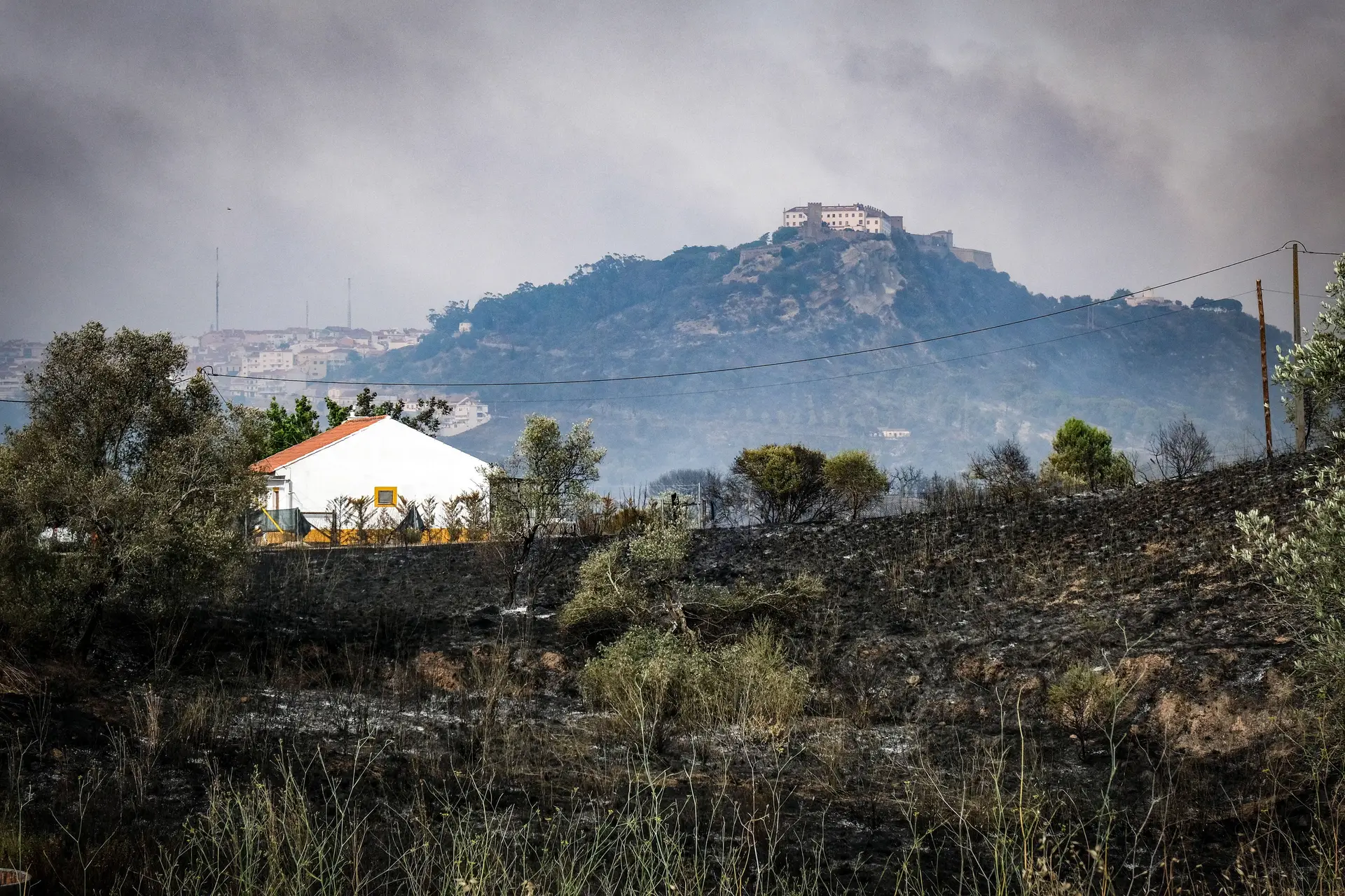 Incêndio em Palmela provocou 12 feridos e destruiu cerca de 400 hectares de mato