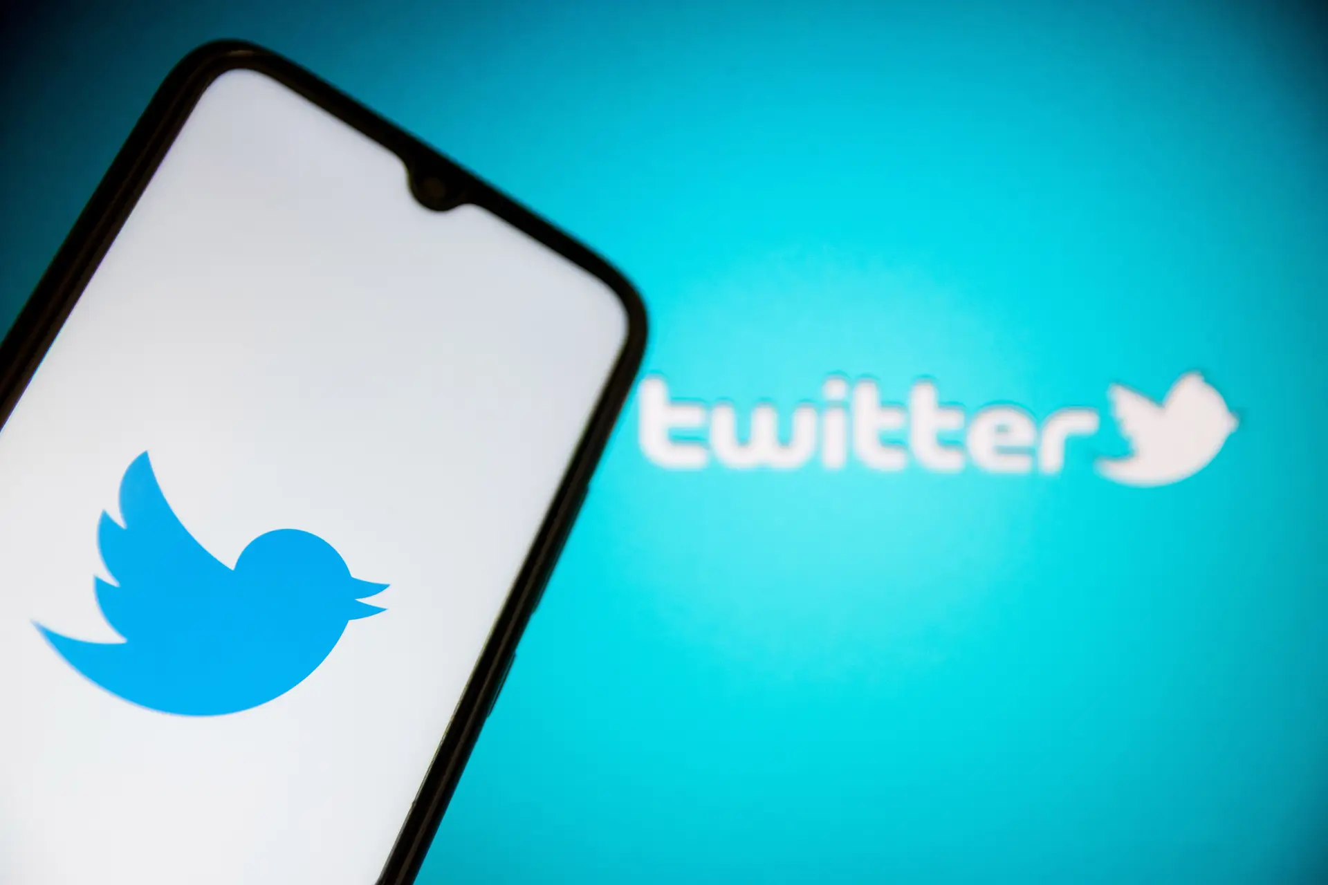 Príncipe saudita converte-se no segundo maior acionista do "novo" Twitter