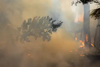 Cerca de 70 concelhos apresentam perigo máximo de incêndio