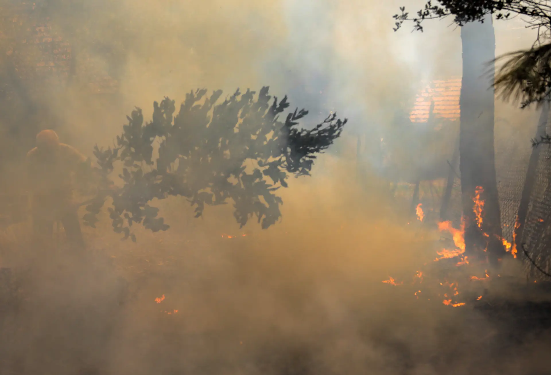 Perigo máximo de incêndio em mais de 30 concelhos de Portugal continental