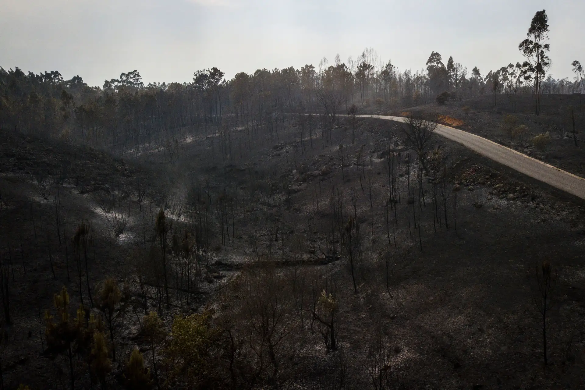 Programa de Reabilitação para Incendiários ainda não passou de uma aplicação experimental