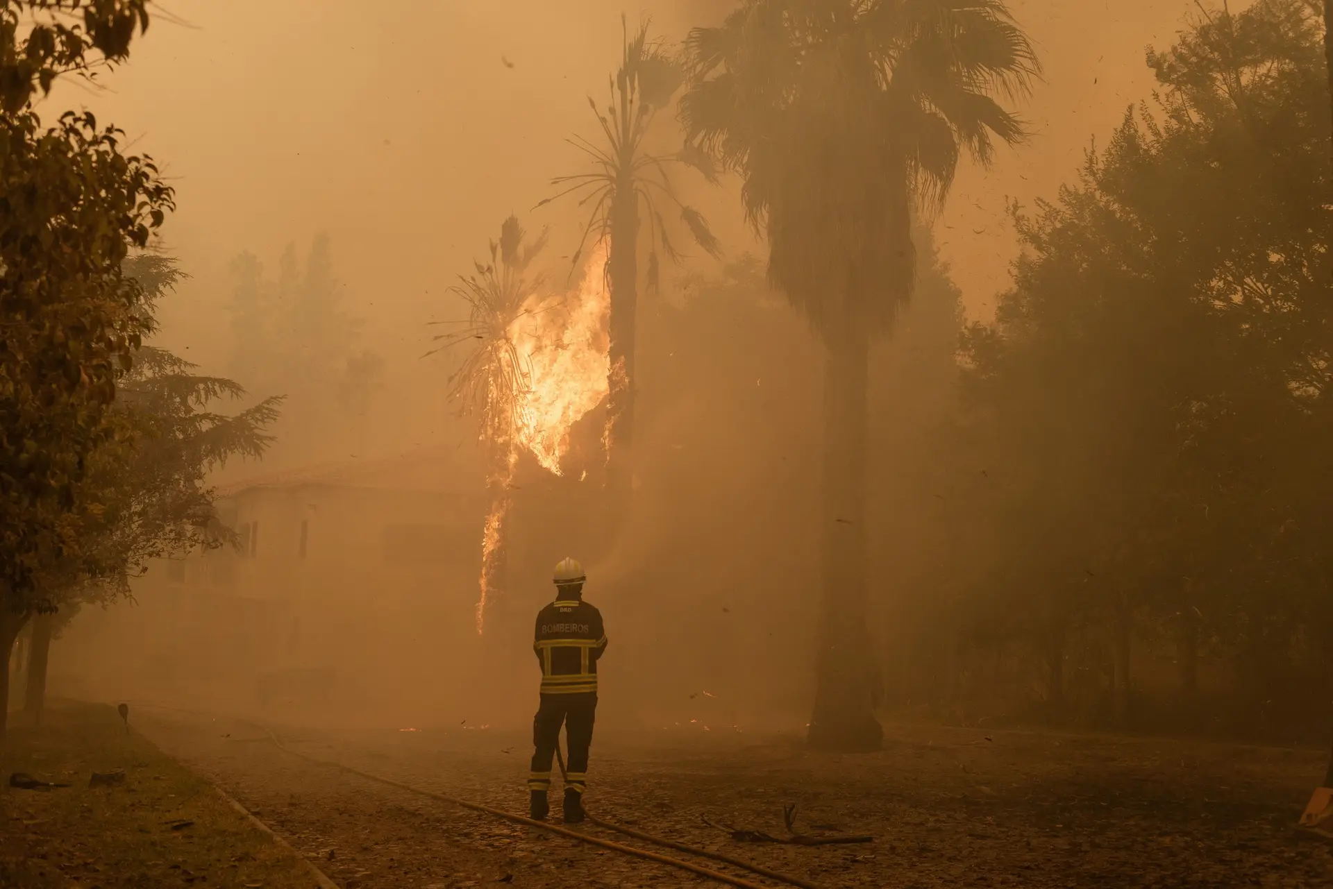 Portugal regista a maior área ardida desde 2017