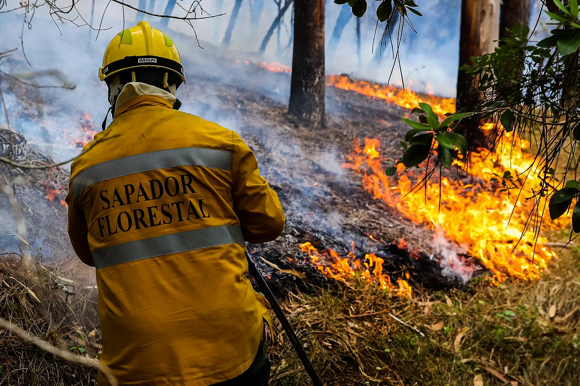 Marcelo promulga decreto-lei que espera permita "pagamento justo" a sapadores florestais
