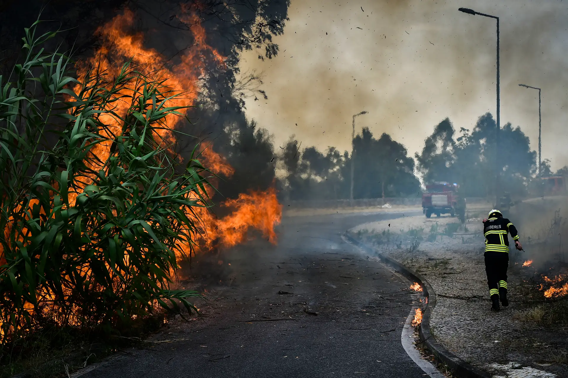 Arquivado inquérito aos incêndios que deflagraram em julho no concelho de Leiria