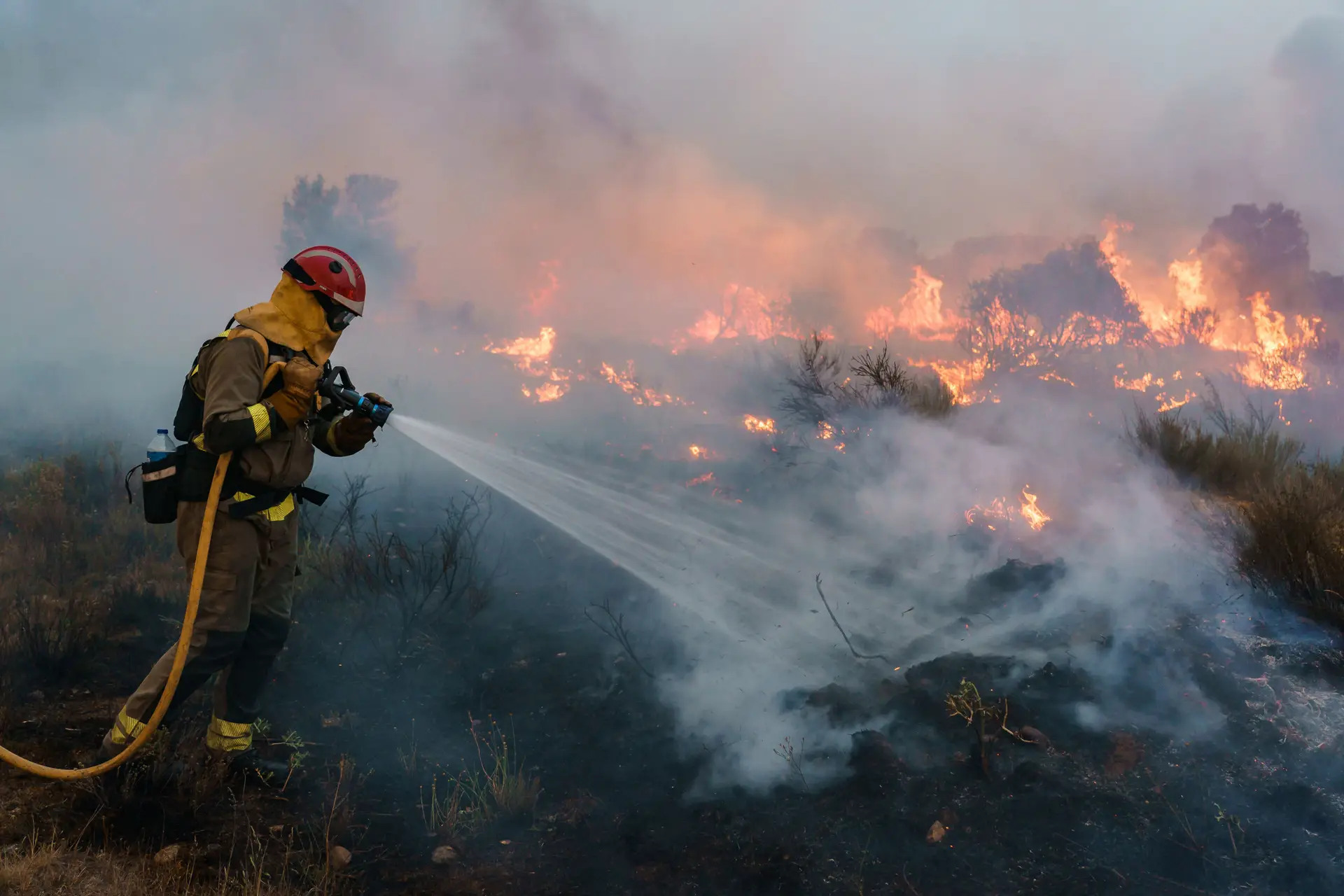 Incêndios: membro de brigada de combate morreu na província espanhola de Zamora