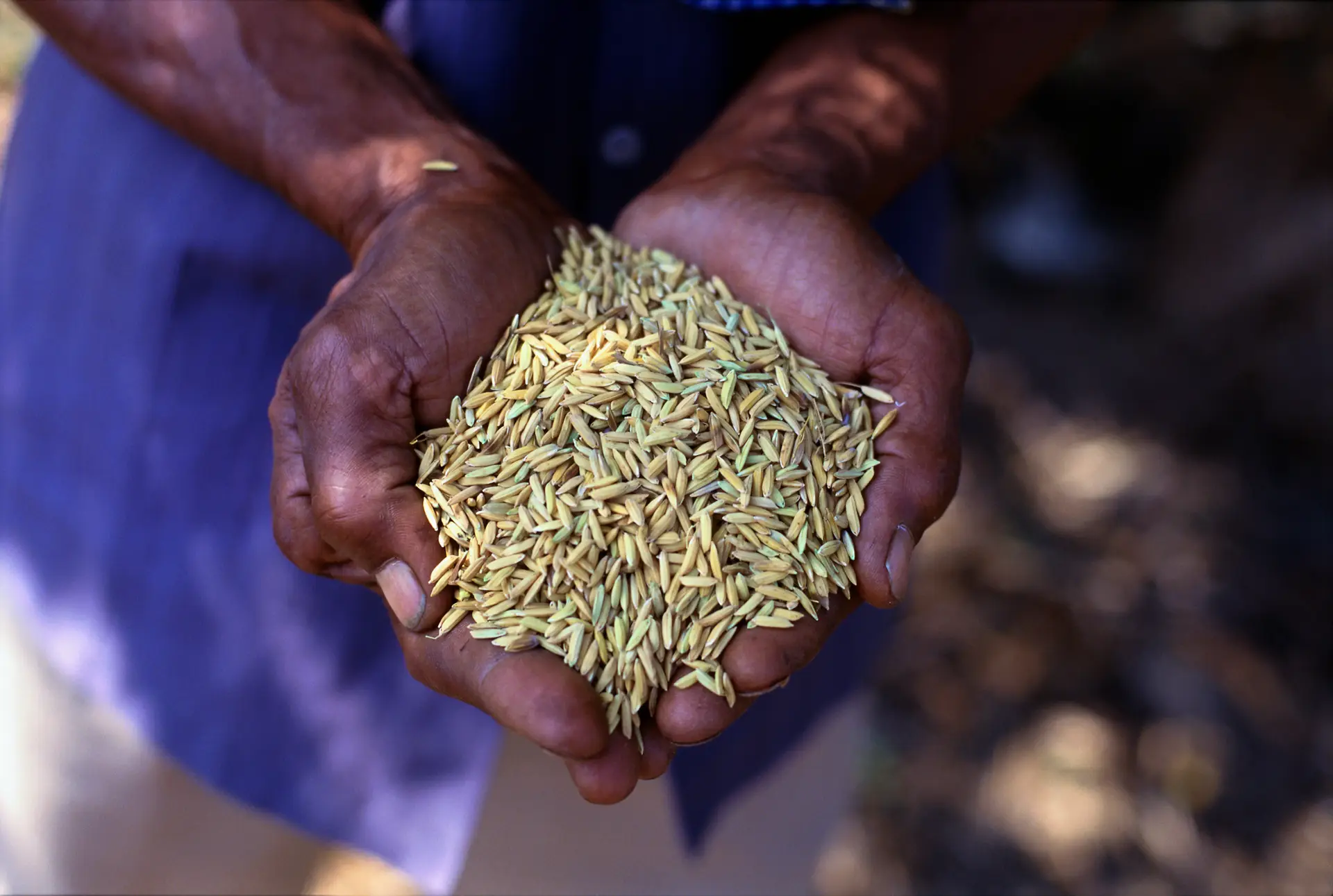 ONG sugere taxar bilionários do setor alimentar para combater a fome em África