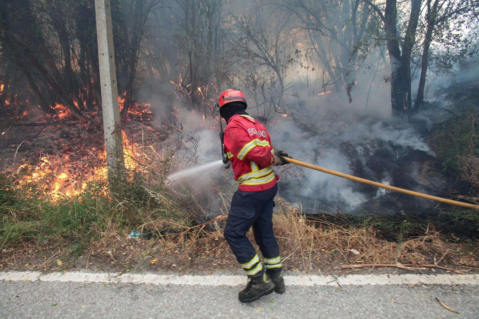 Aldeia e praia fluvial de Aldeia Viçosa evacuadas devido a incêndio