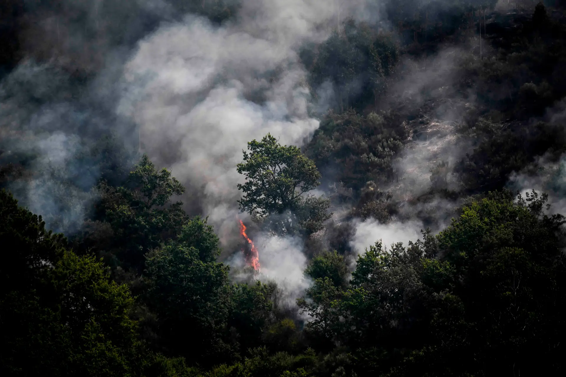 Forças Armadas apoiam combate e vigilância a incêndios com quase 100 horas de voo
