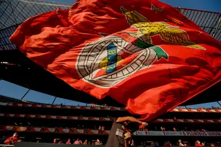 Benfica apresenta queixa contra Girão por agressão
