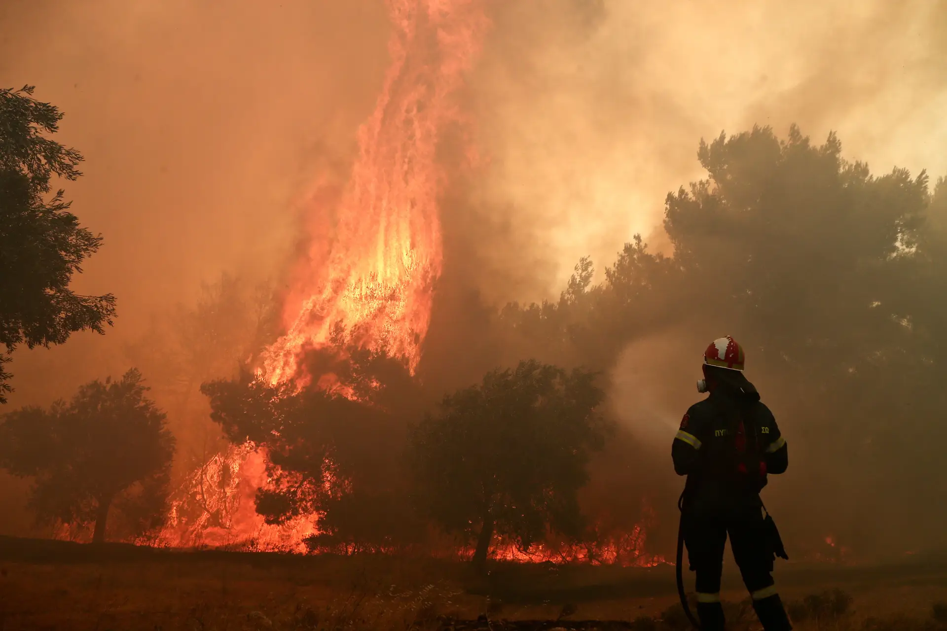 Grécia enfrenta nova vaga de incêndios, bombeiros em Itália combatem 25 grandes fogos