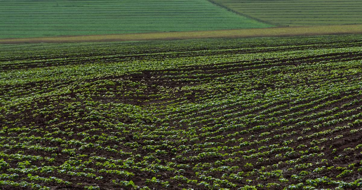 Obras por fazer no interior: subidas dos combustíveis deixam autarcas em dificuldades
