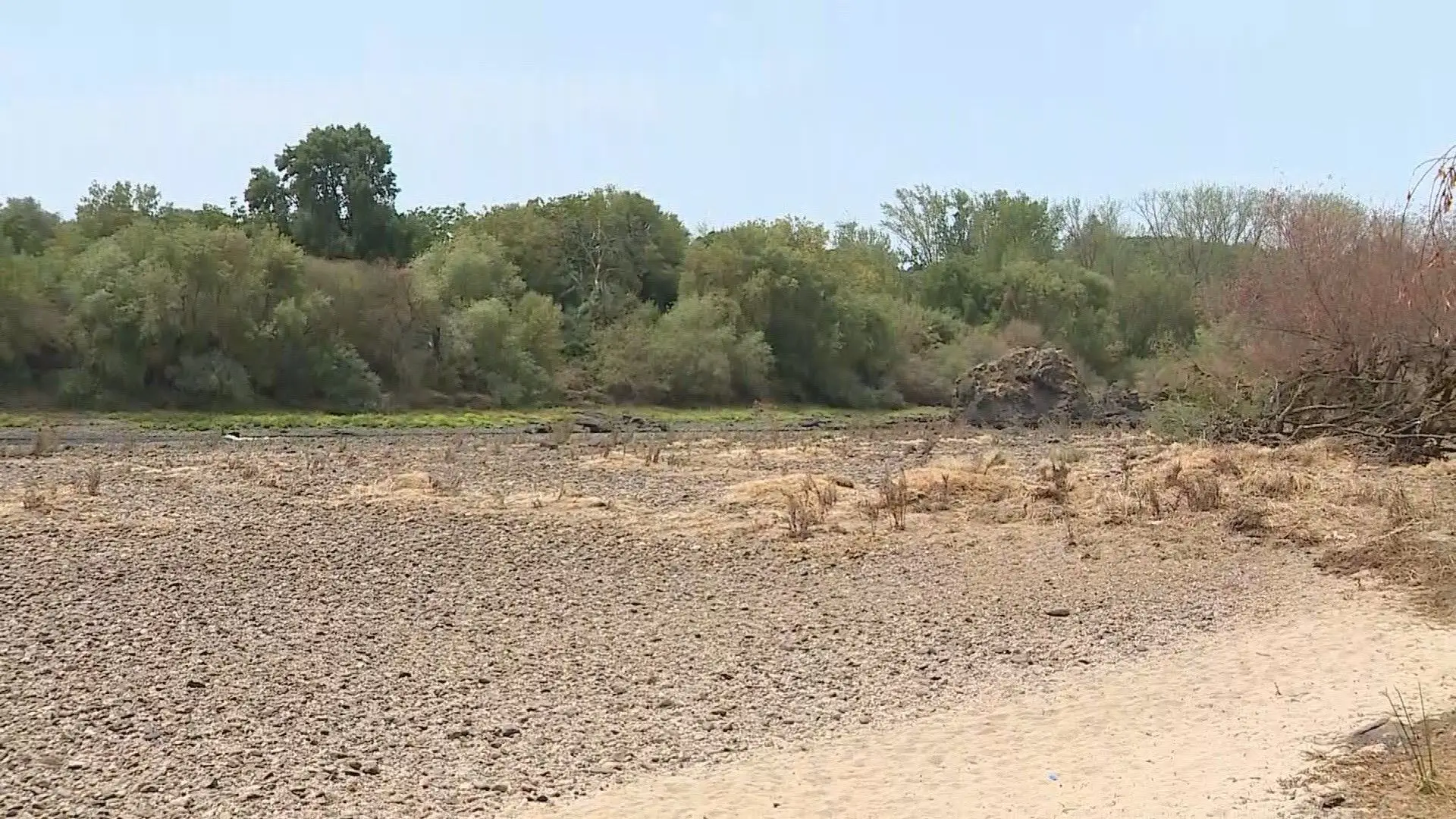 Seca extrema: há zonas do rio Tejo onde é possível atravessar a pé