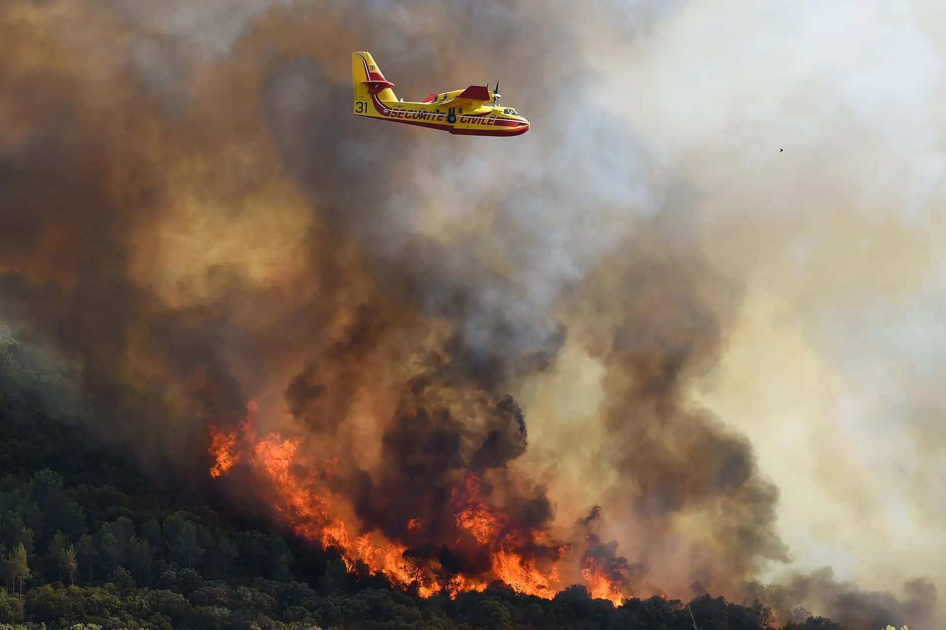Bruxelas anuncia mobilização de dois aviões de combate às chamas para Portugal