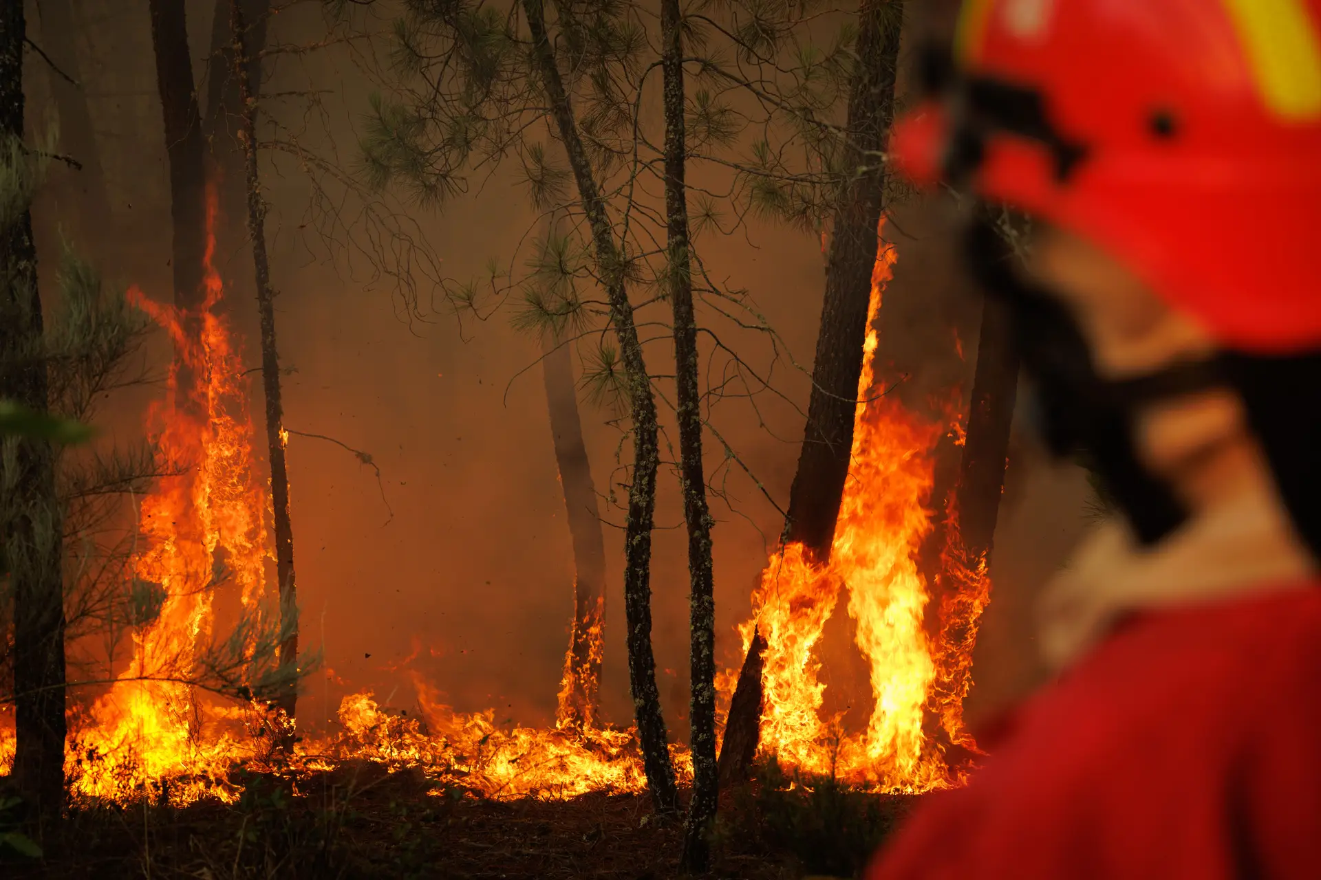 Mais de 120 operacionais combatem incêndio em Vila Real