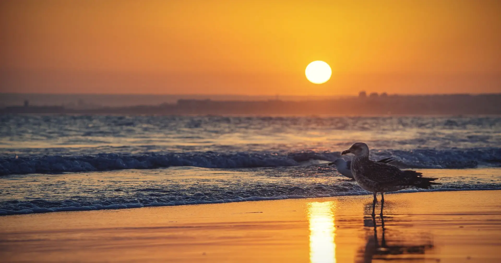 Heat wave in Portugal temperatures can reach 40 degrees and increase the danger of fires