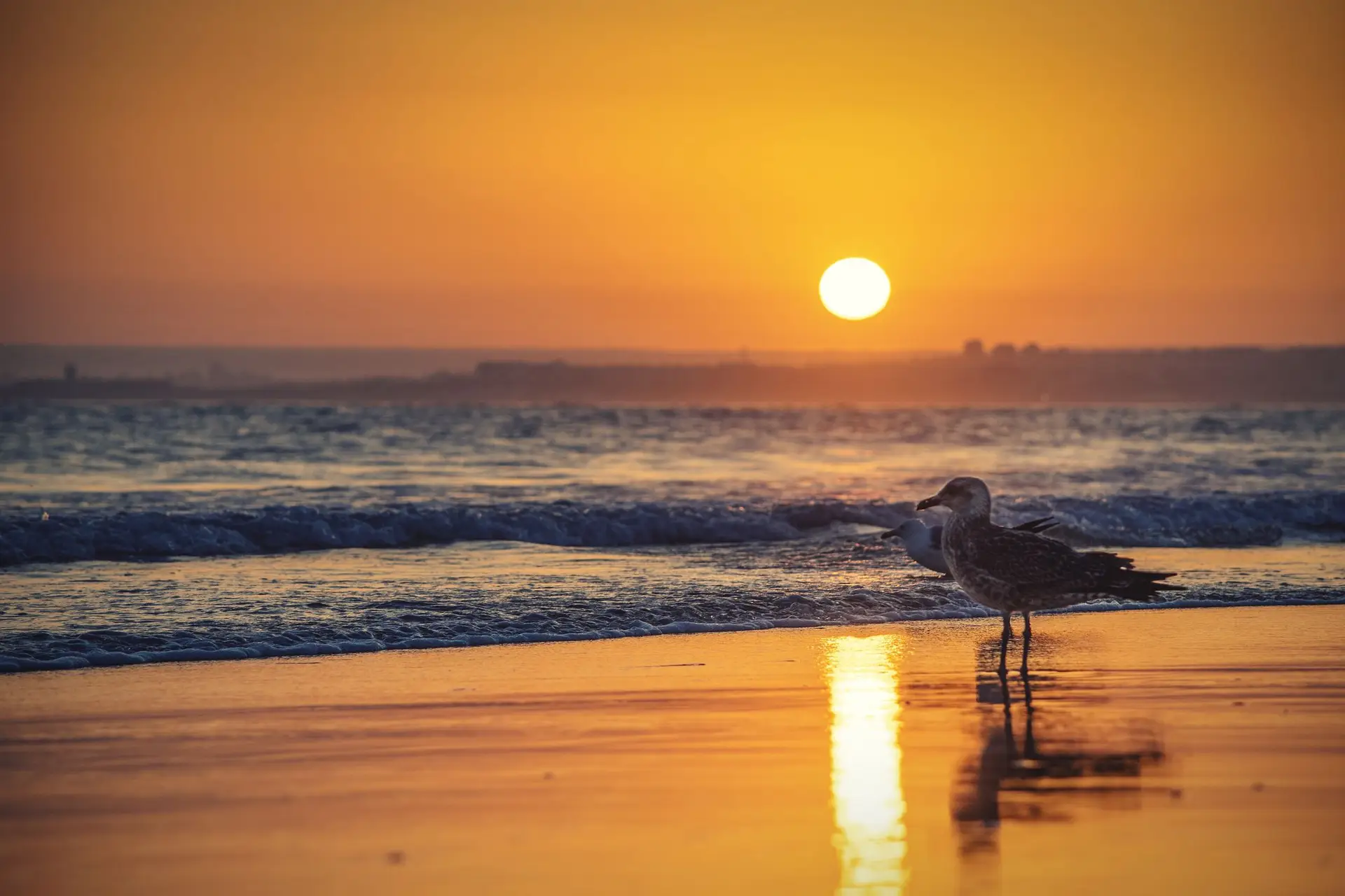 Temperaturas a subir: 14 distritos do continente sob aviso amarelo devido ao calor