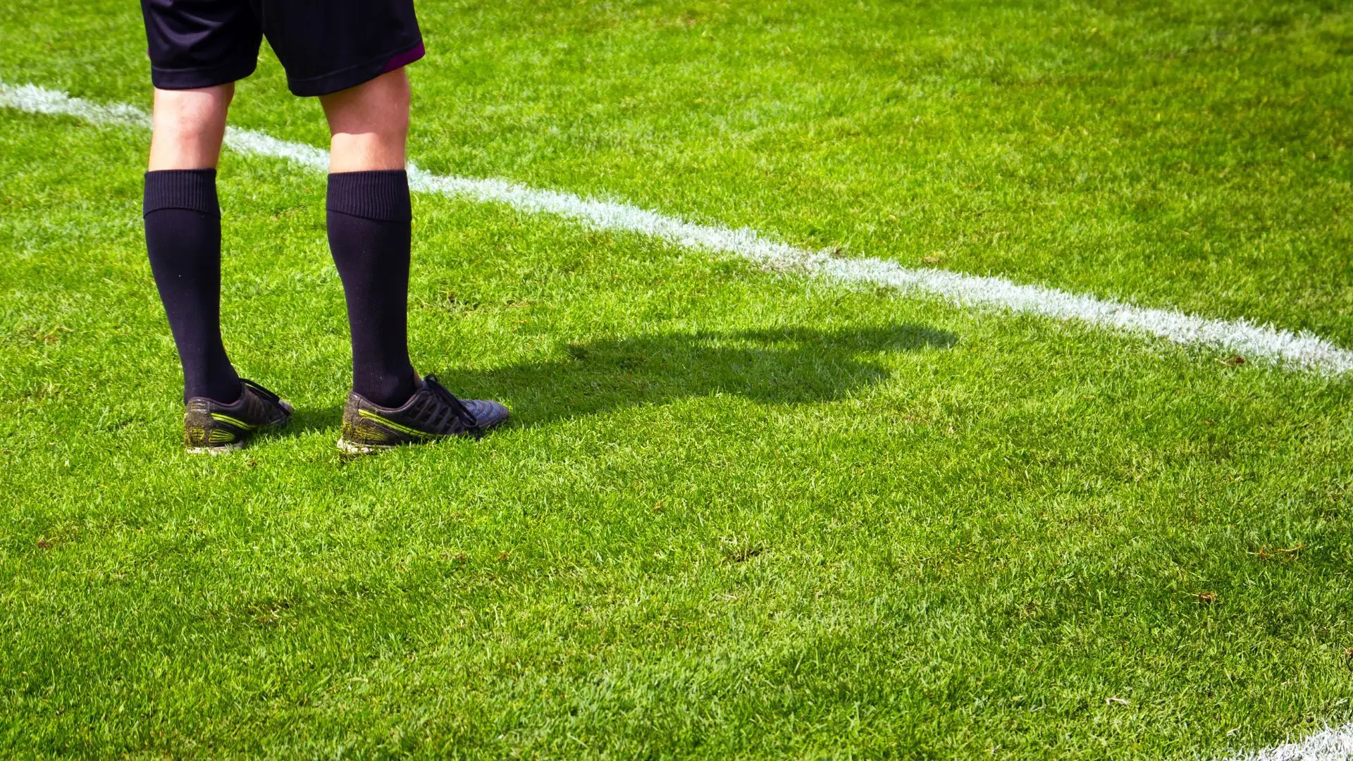 Já há árbitro para o Portugal-Uruguai