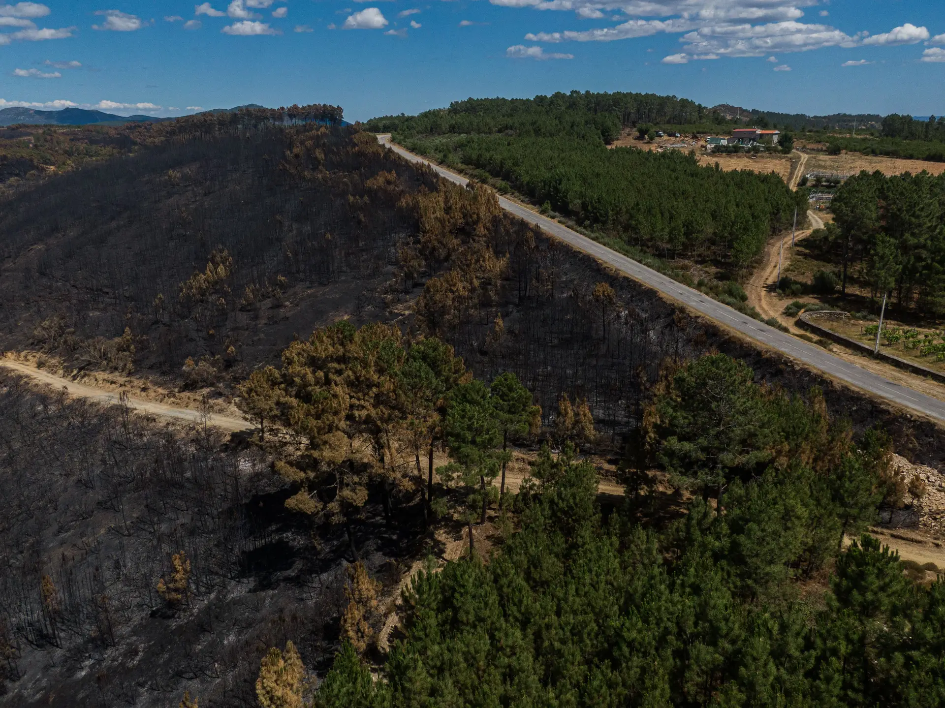Mais de 7.500 incêndios e mais de 58 mil hectares ardidos (só) este ano