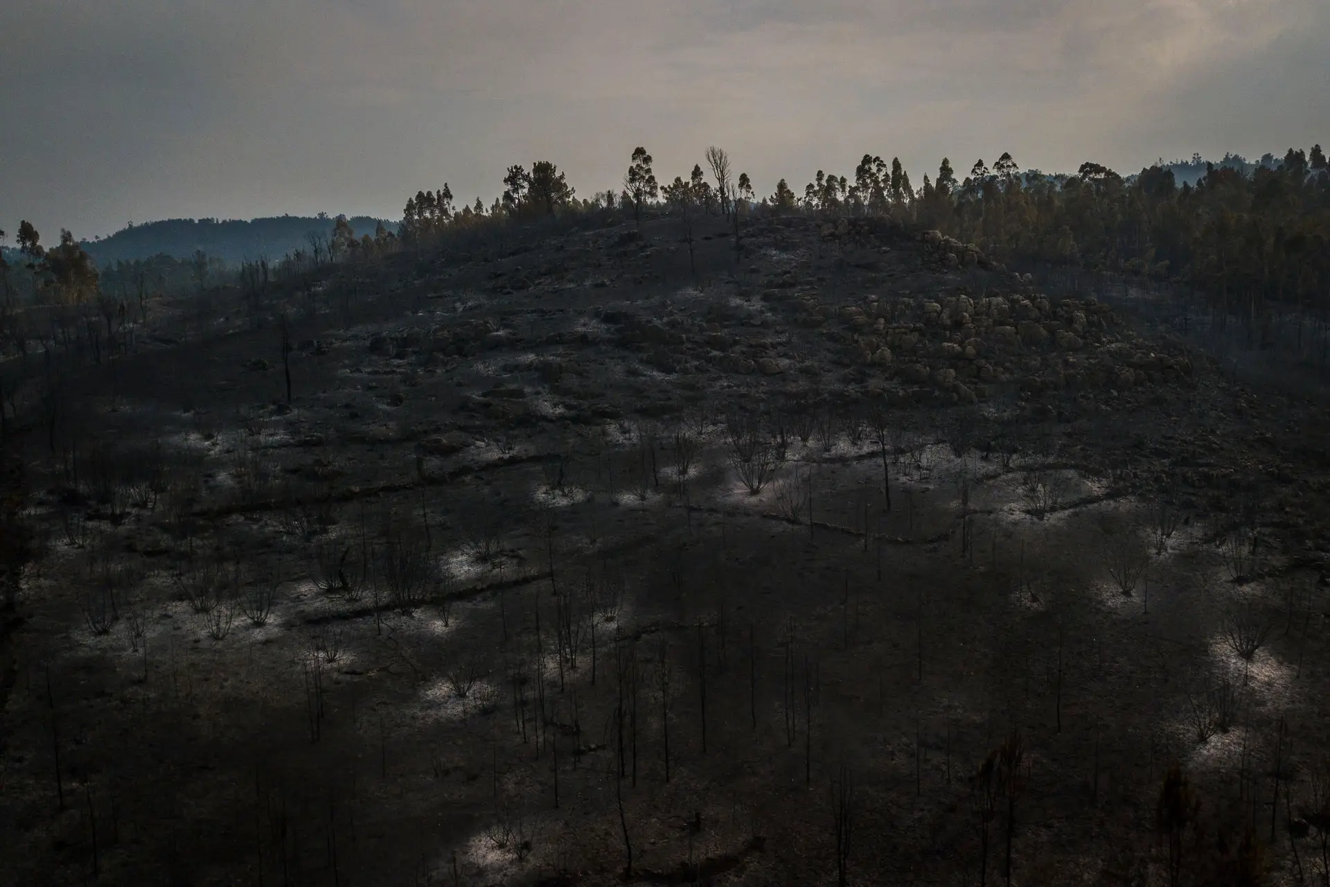 Após incêndios, região de Leiria quer medidas excecionais e intervenções rápidas