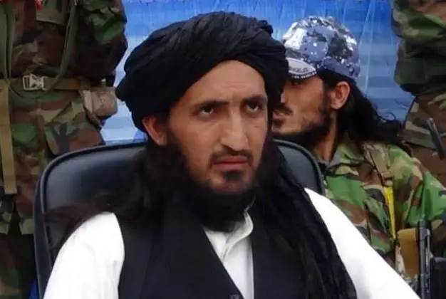Talibãs paquistaneses confirmam morte de alto comandante