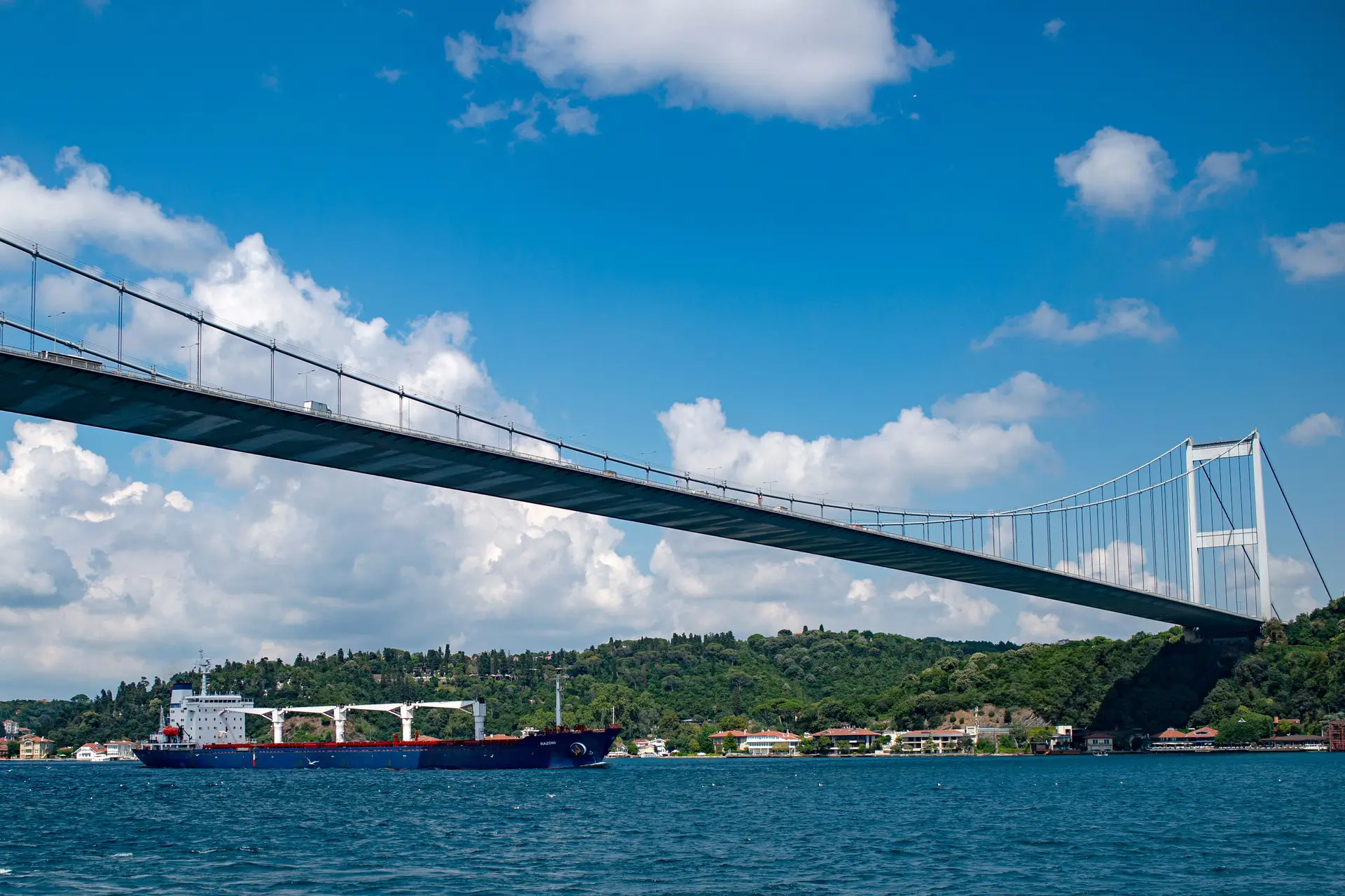 Primeiro navio a sair da Ucrânia com cereais espera por comprador na Turquia