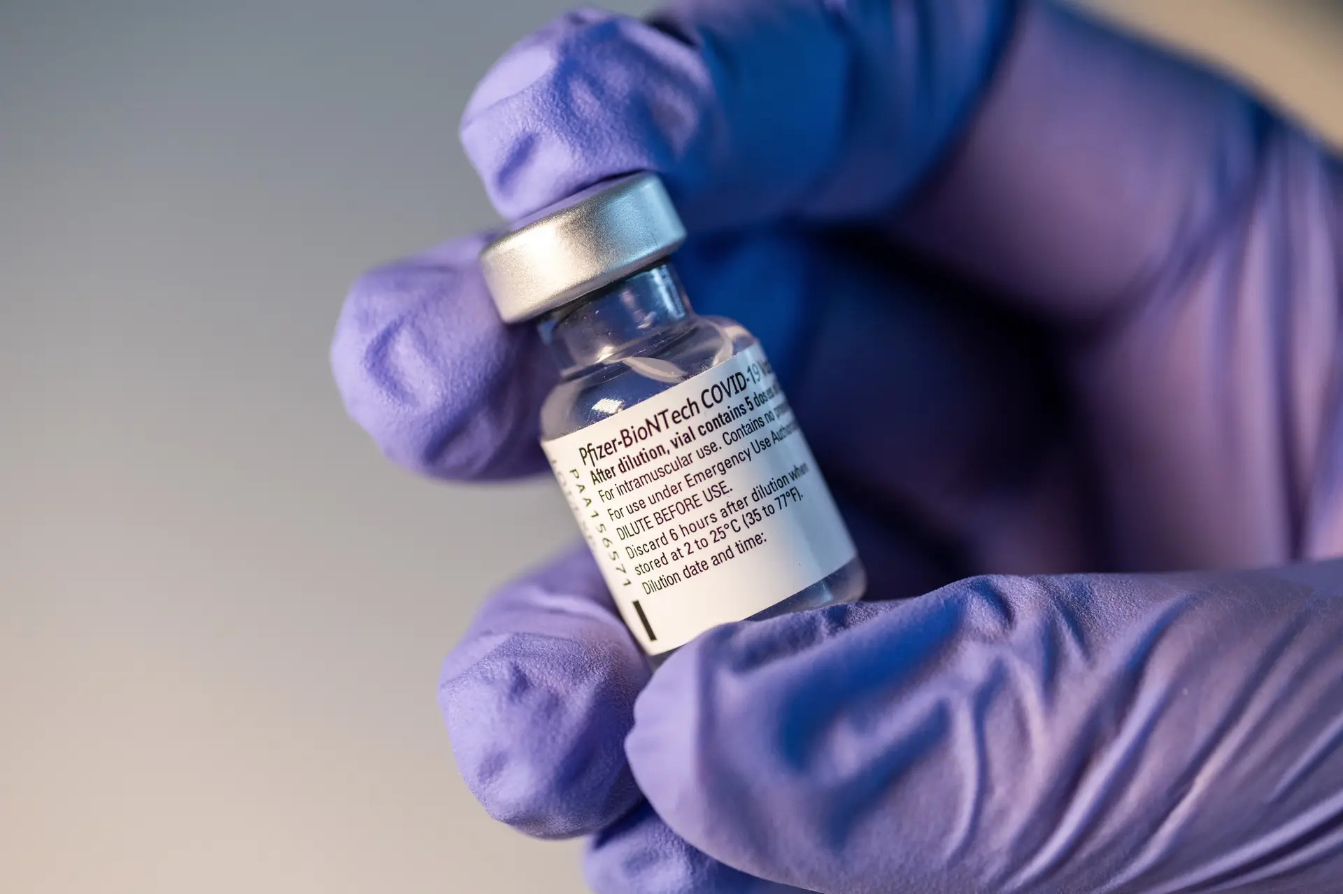 Portugal vai receber mais de meio milhão de doses da nova vacina da Pfizer