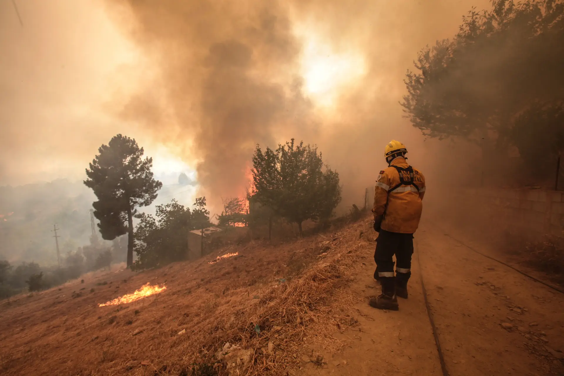 Chega chama MAI ao Parlamento devido a "falhas" no combate aos incêndios