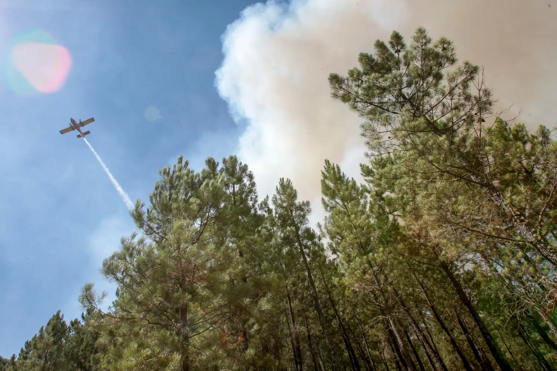 Risco máximo de incêndio em 25 concelhos do interior Norte, Centro e Alto Alentejo