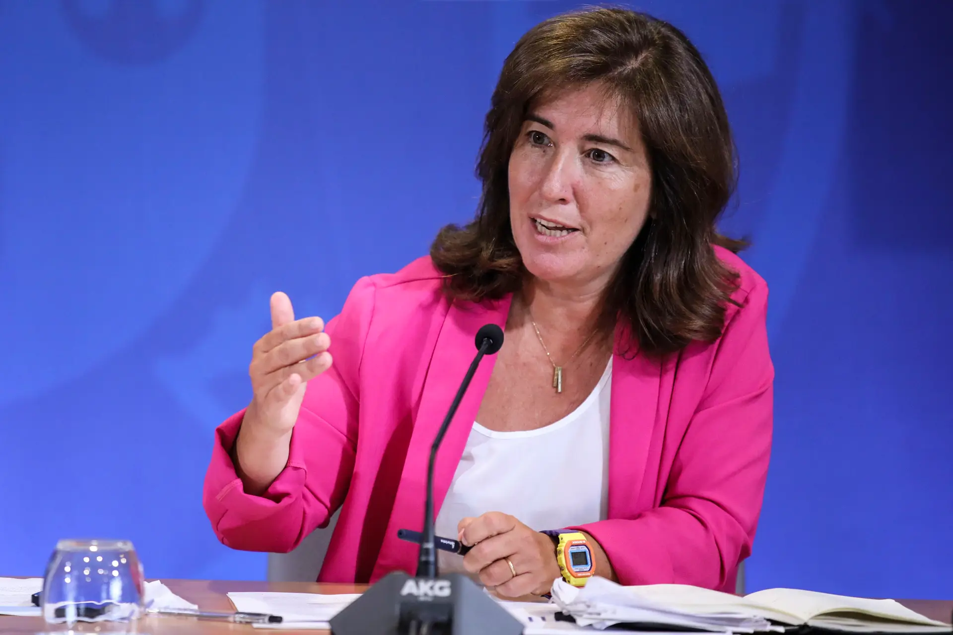 Subida do salário mínimo nacional e apoio extraordinário estão aprovados -  SIC Notícias
