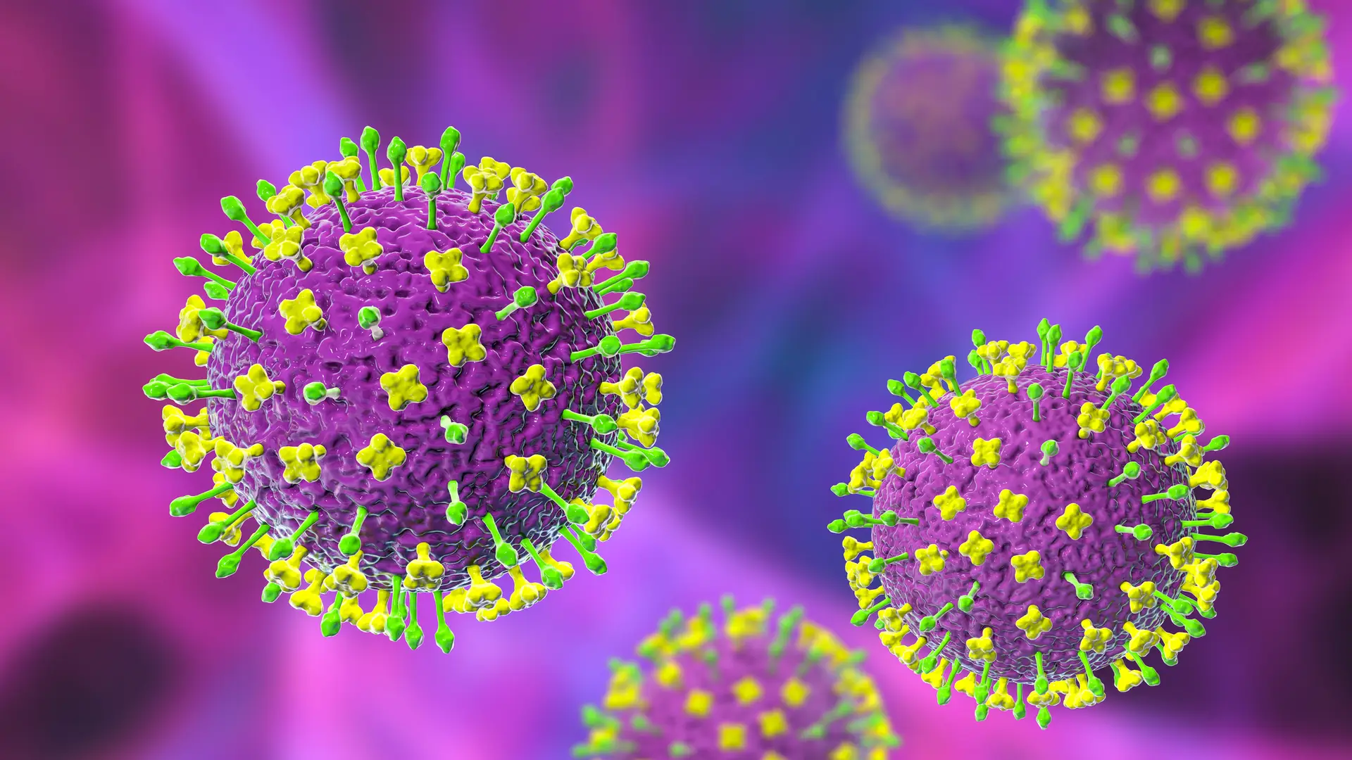 Vírus recém-identificado na China infetou 35 pessoas entre 2018 e 2021