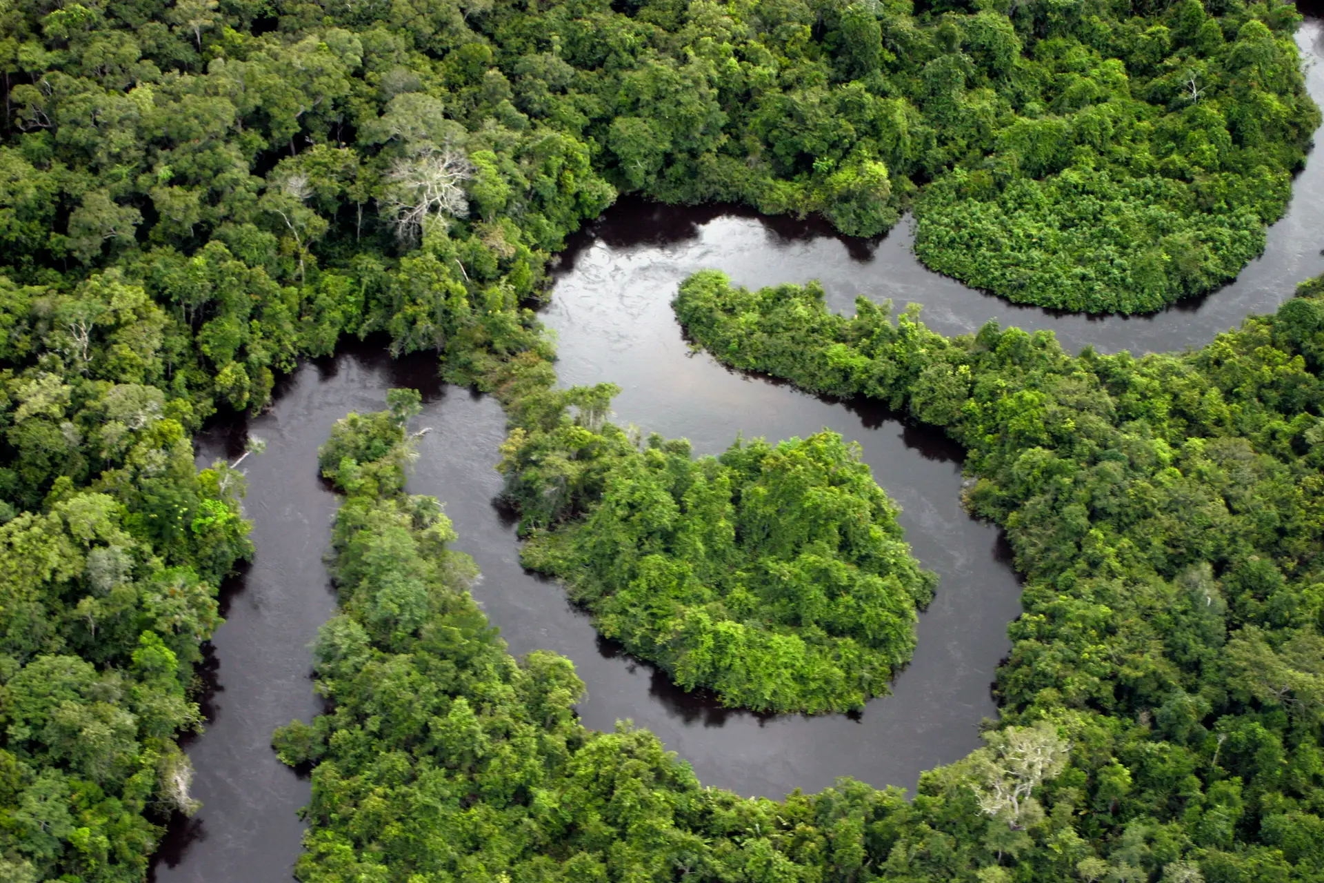 Desflorestação na Amazónia brasileira com a maior taxa do ano em julho