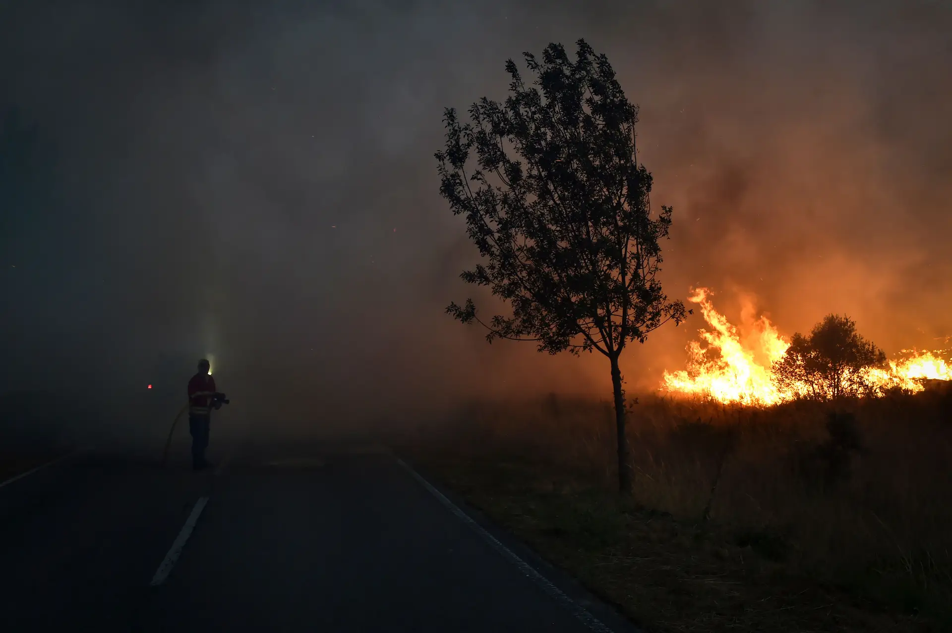 Bombeiros da Guarda dizem que chamas em Aldeia Viçosa "começam a ceder"