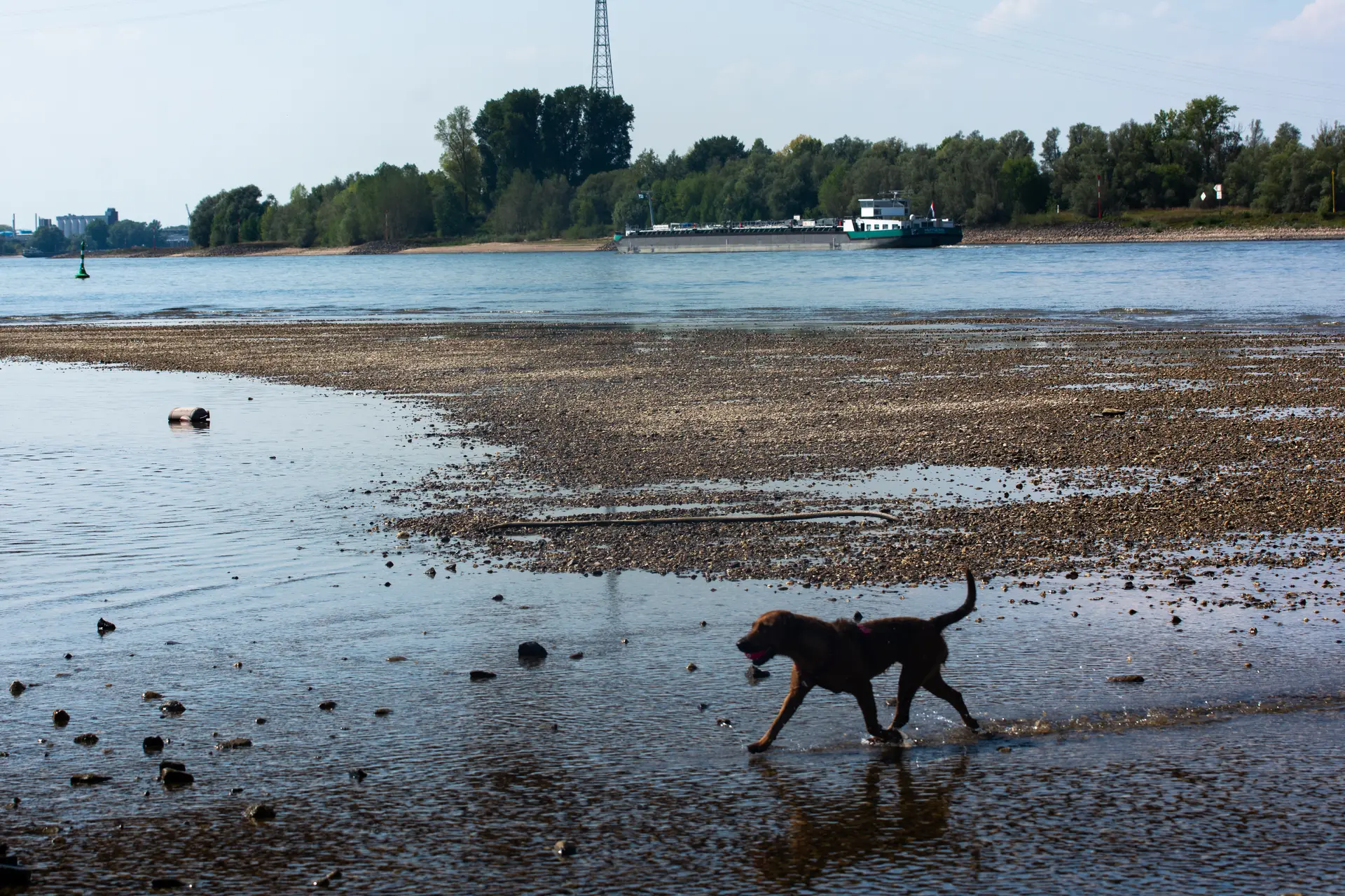 Restrições à navegação no rio Reno aumentam devido à descida do nível das águas