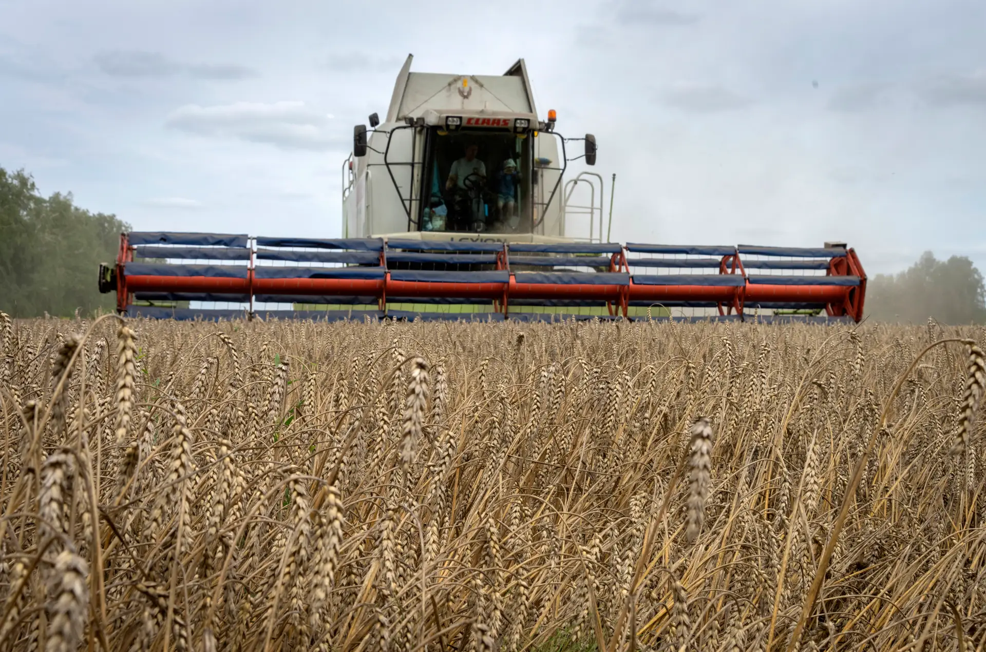 EUA compram 66,8 M€ de trigo ucraniano para doar a países pobres