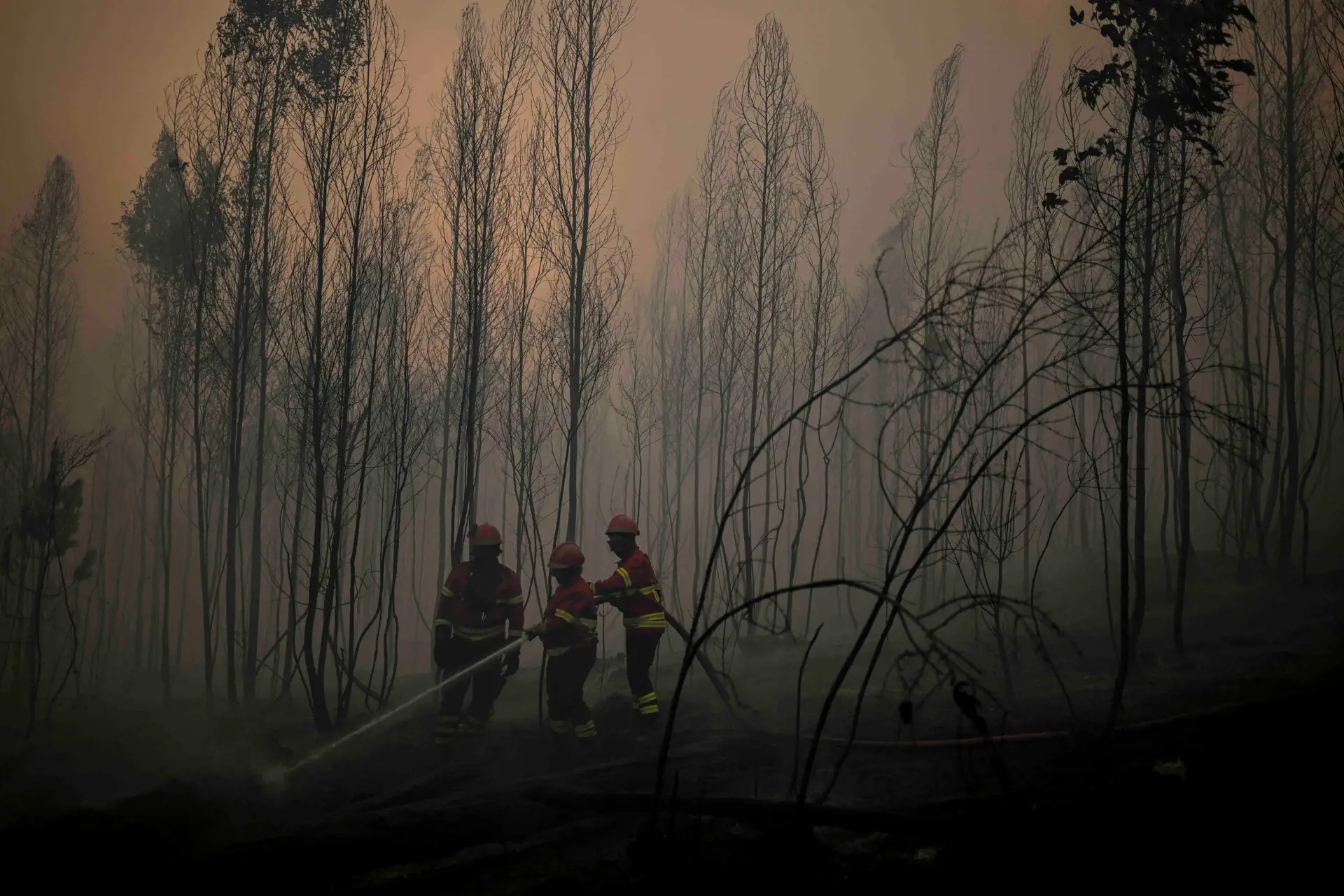 Portugal começa esta sexta-feira sem incêndios em curso