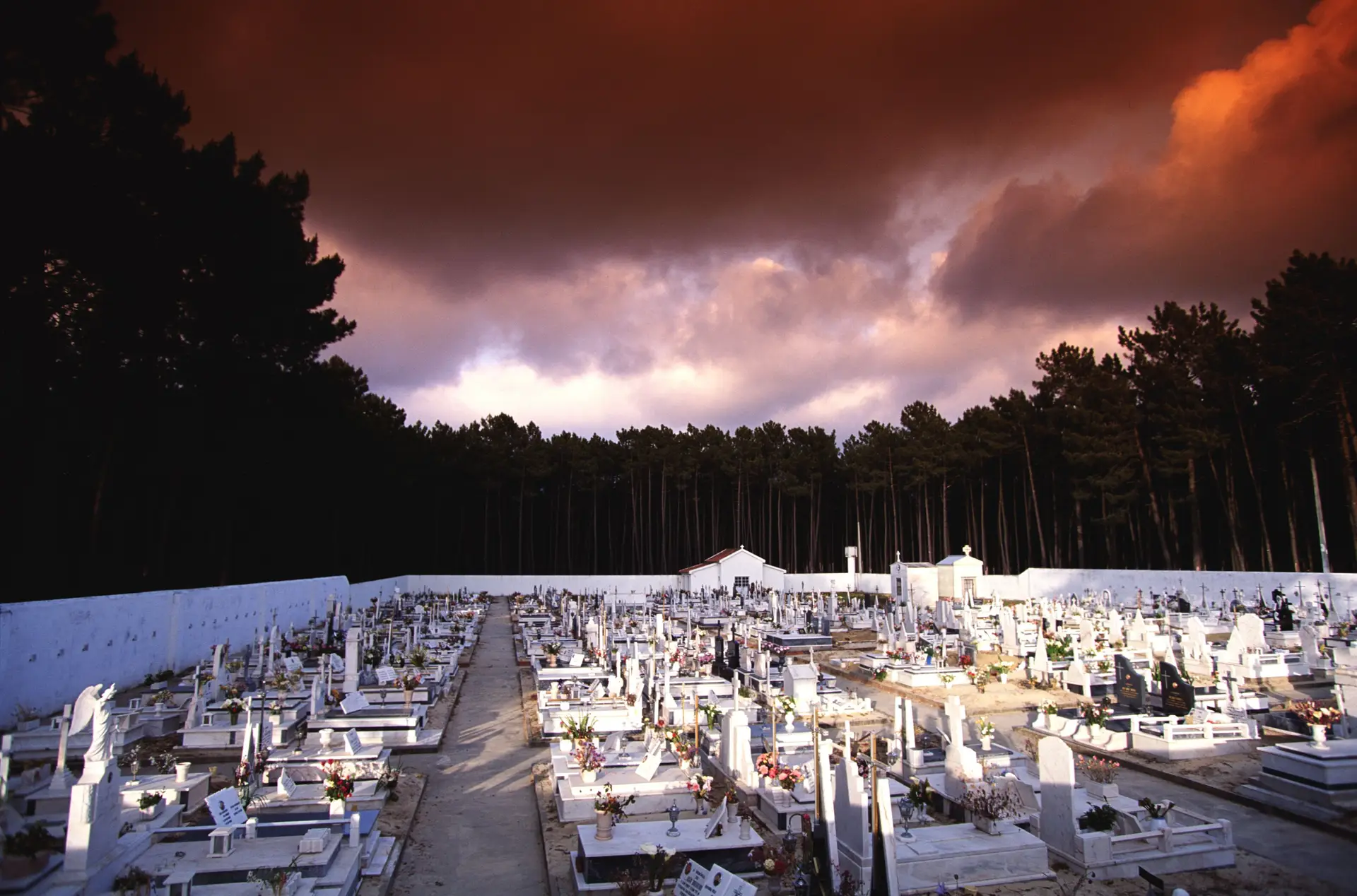 Taxa de excesso de mortalidade aumenta pelo 5º mês consecutivo em Portugal