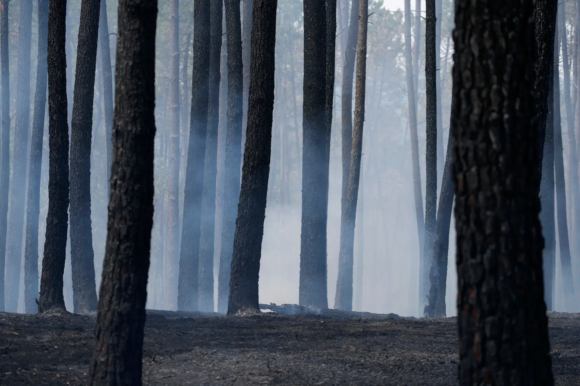 Incêndios: Governo declara situação de alerta a partir de domingo