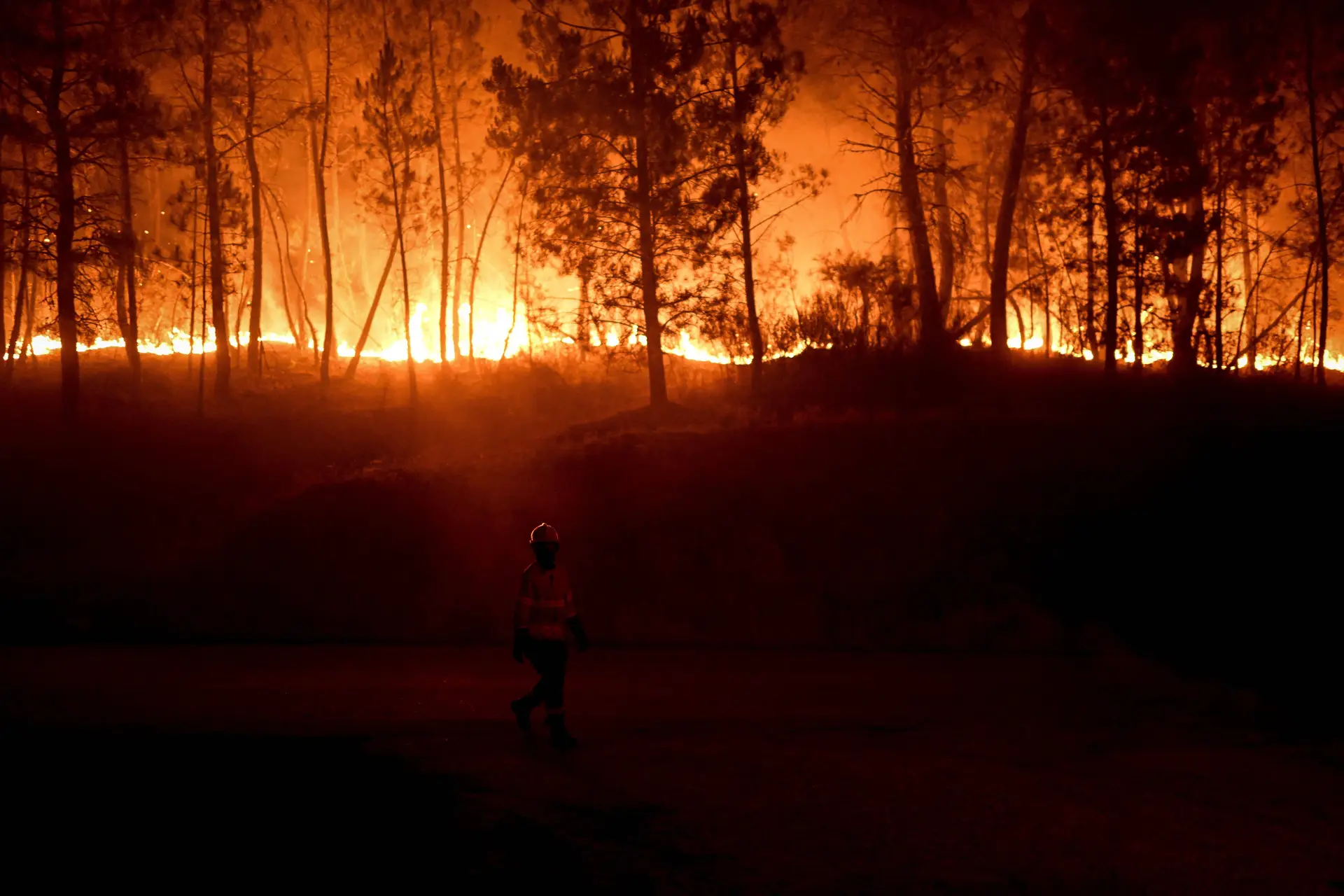 Incêndio na Serra da Estrela