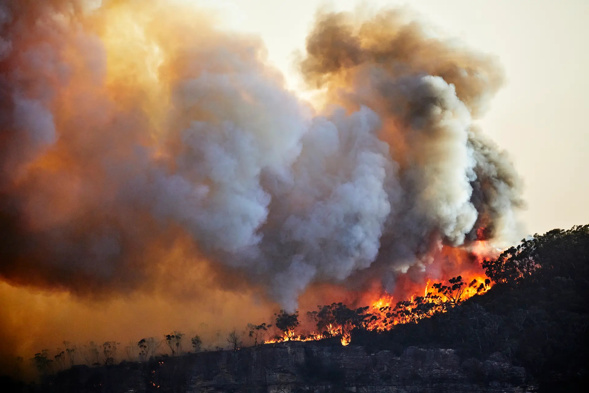 Portugal em situação de alerta devido ao risco de incêndio